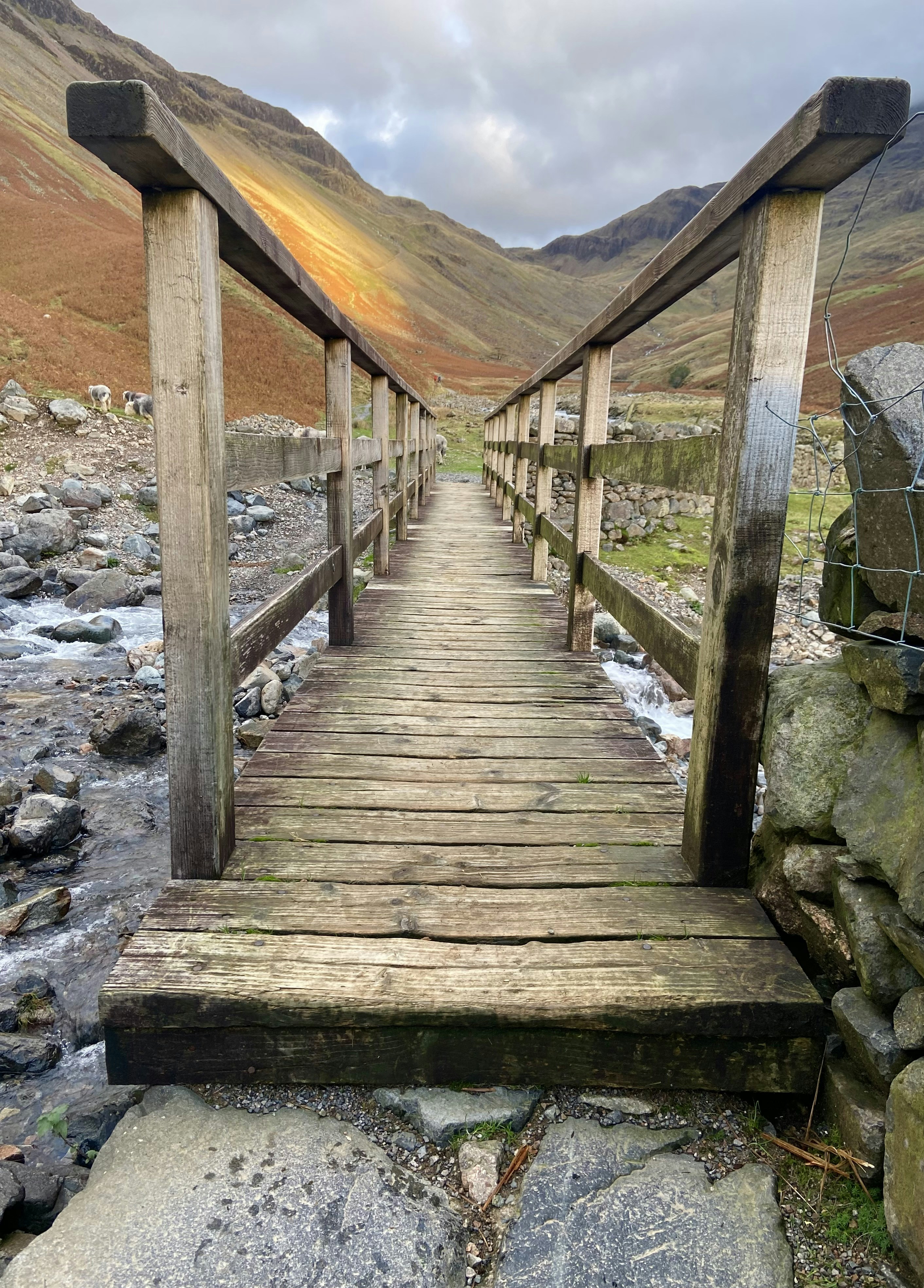 Eine Holzbrücke über einen Bach in den Bergen