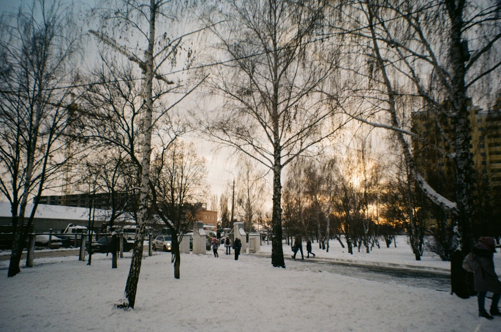 a group of people walking through a snow covered park