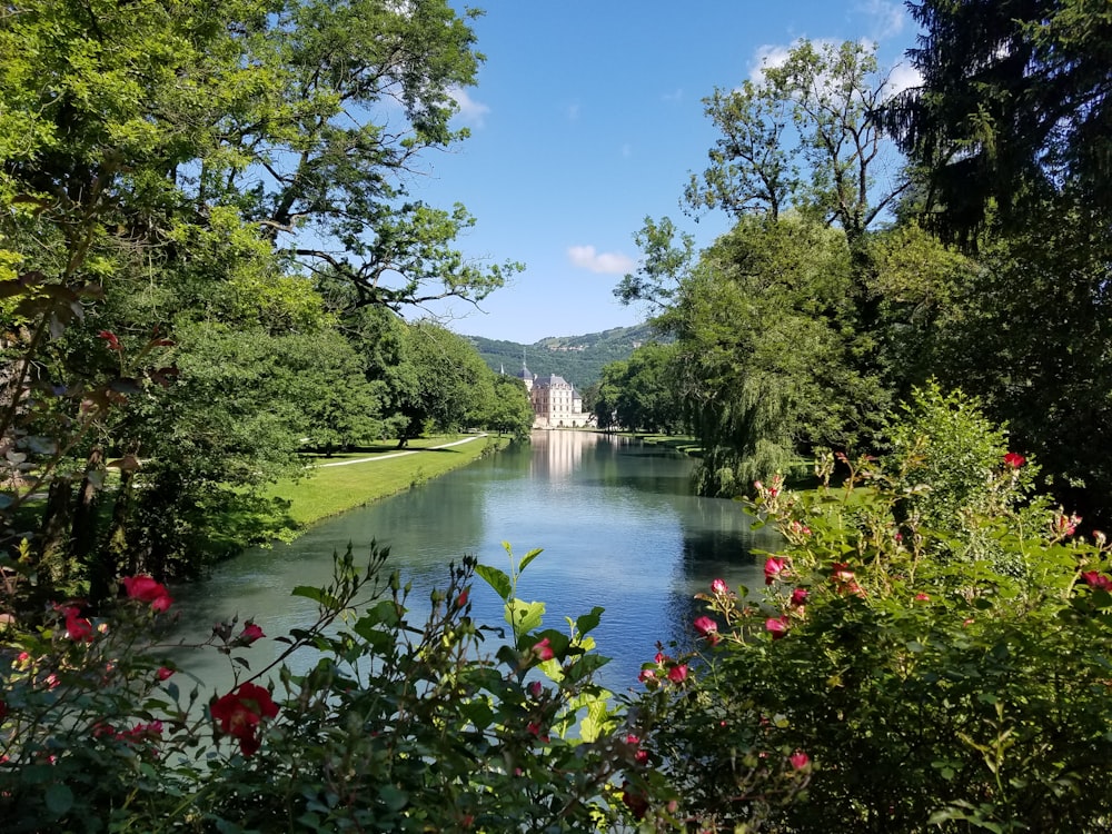 a body of water surrounded by trees and flowers