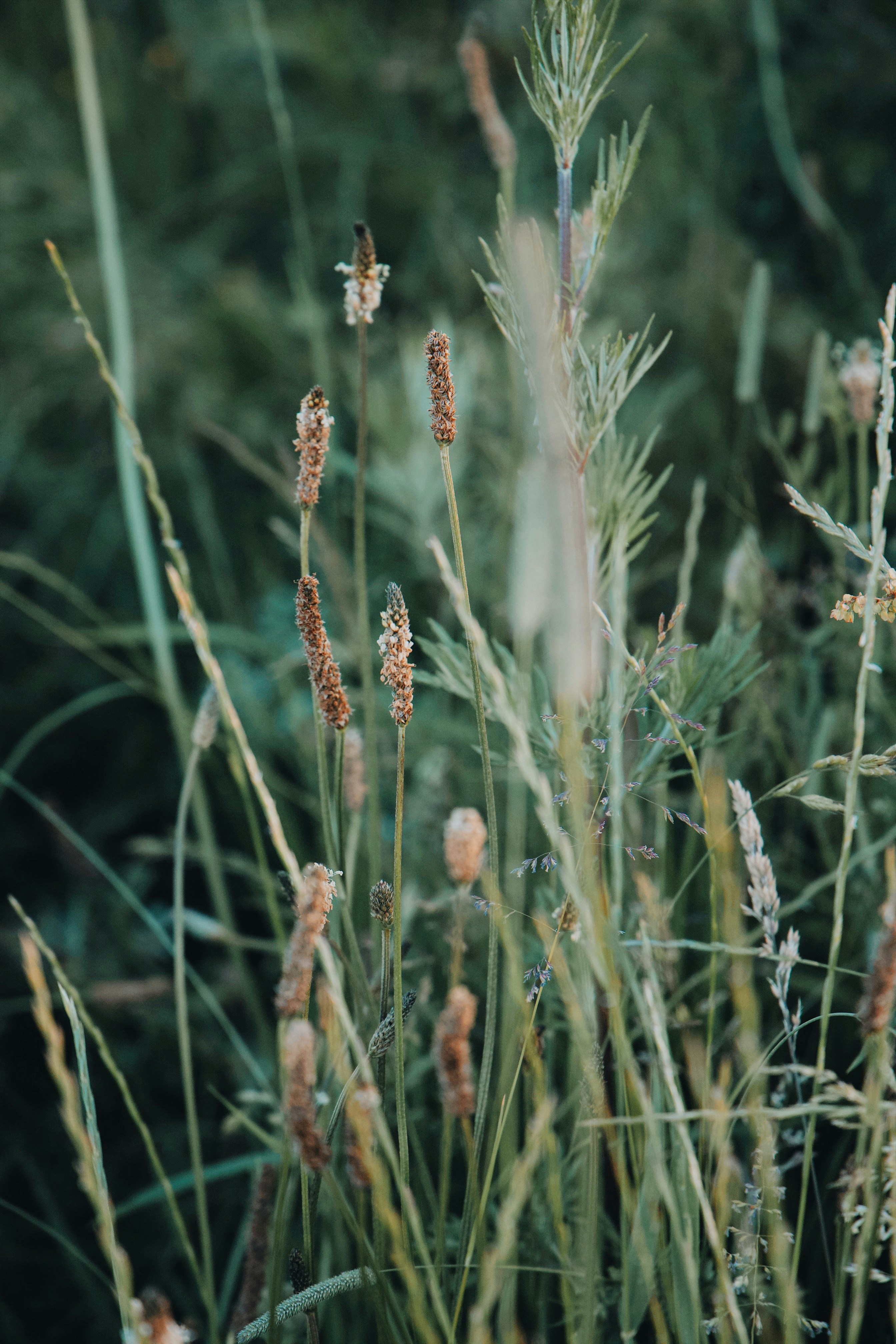 Photo by katharina_bill