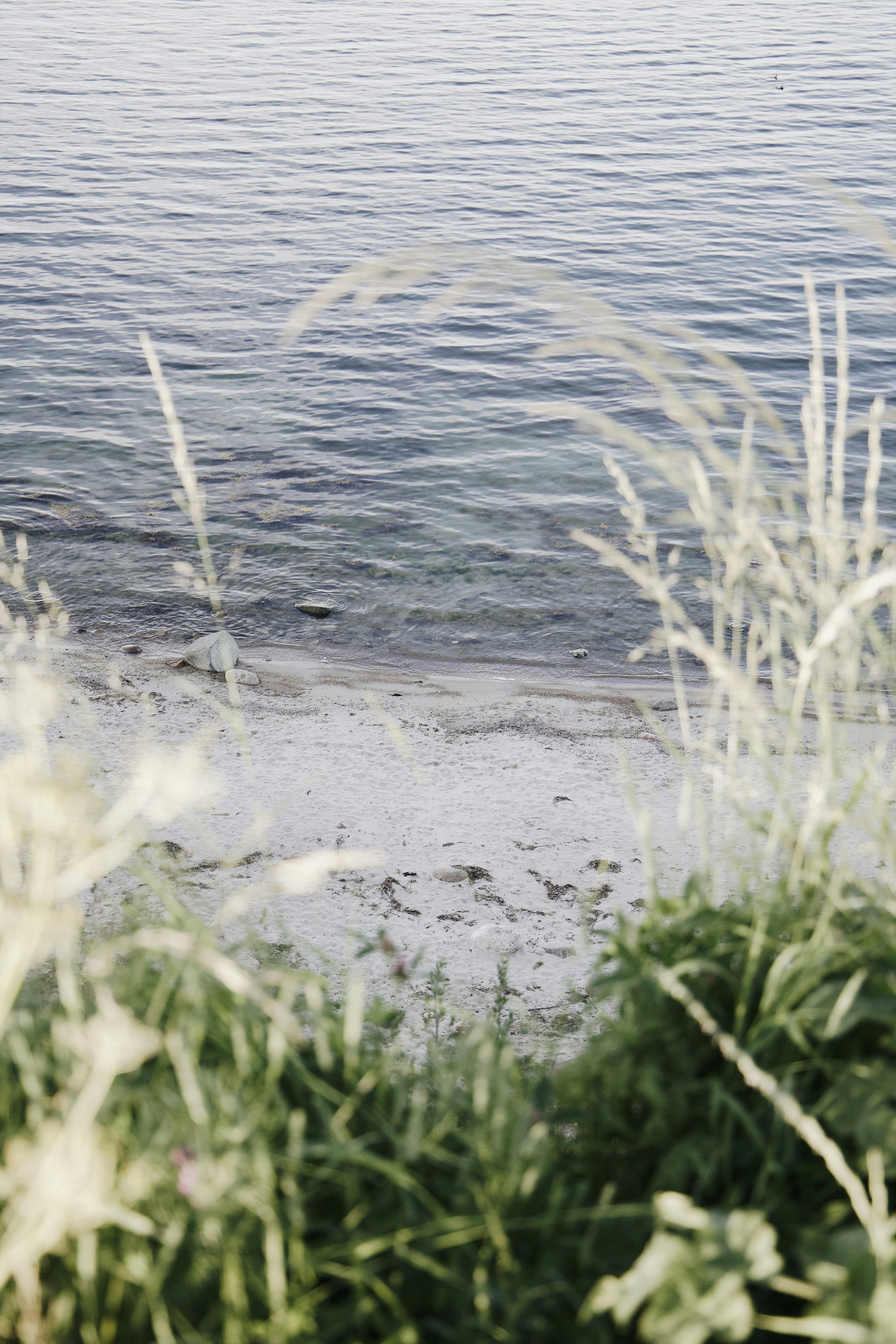 Photo by katharina_bill