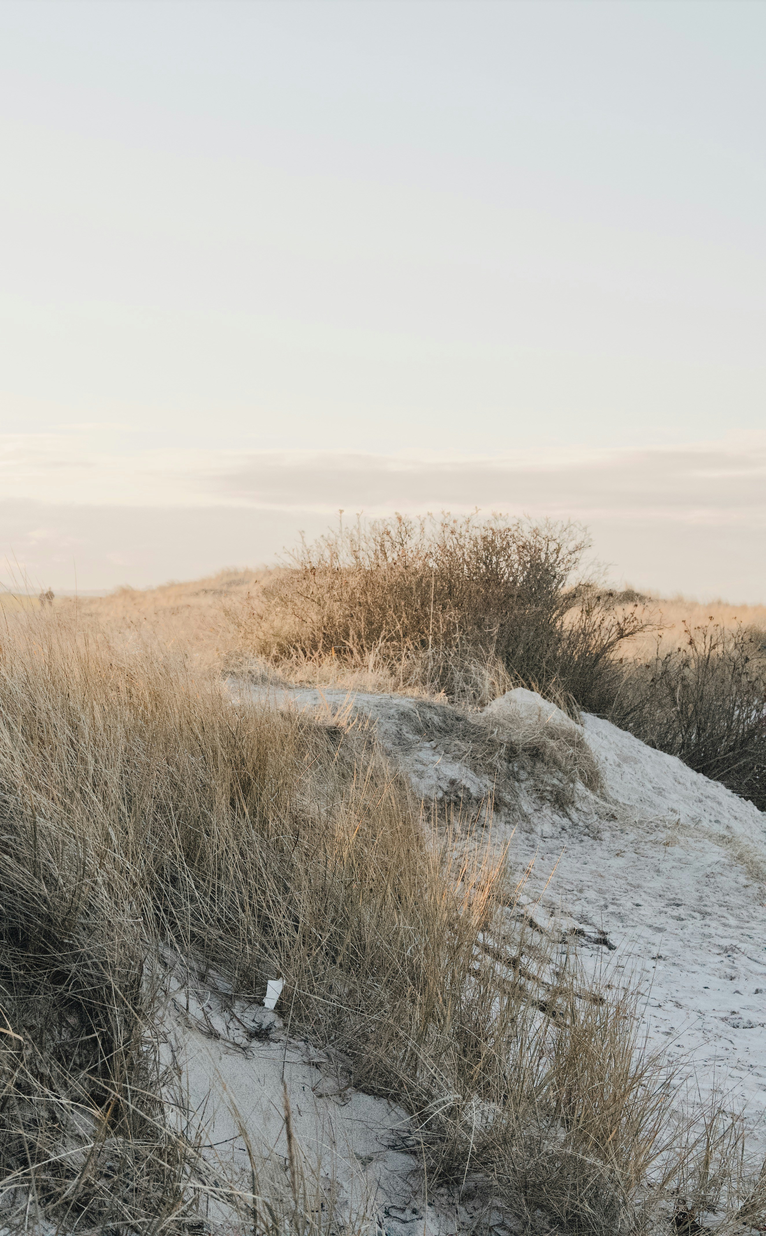 Photo by katharina_bill