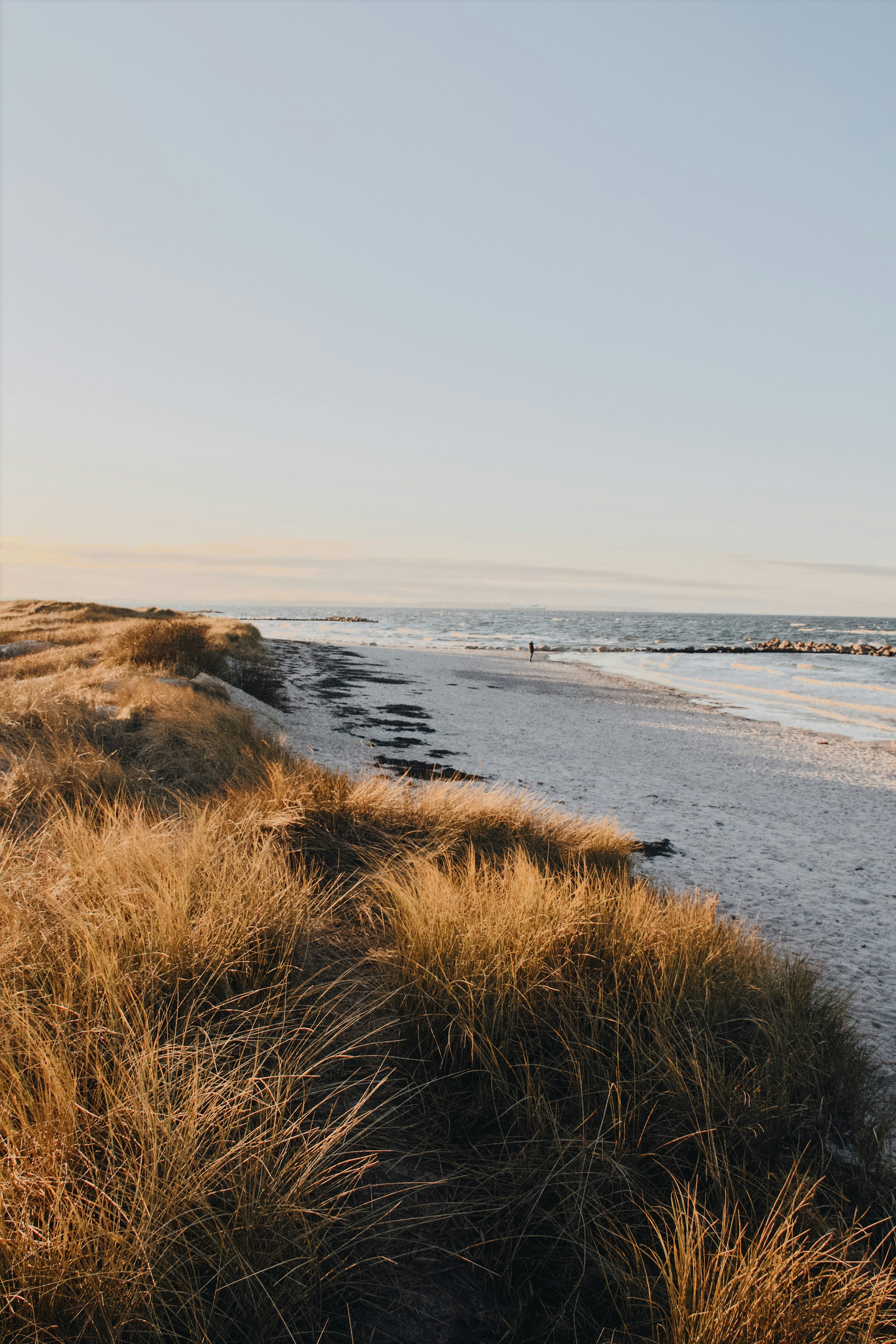 Ein Sandstrand direkt am Meer unter blauem Himmel