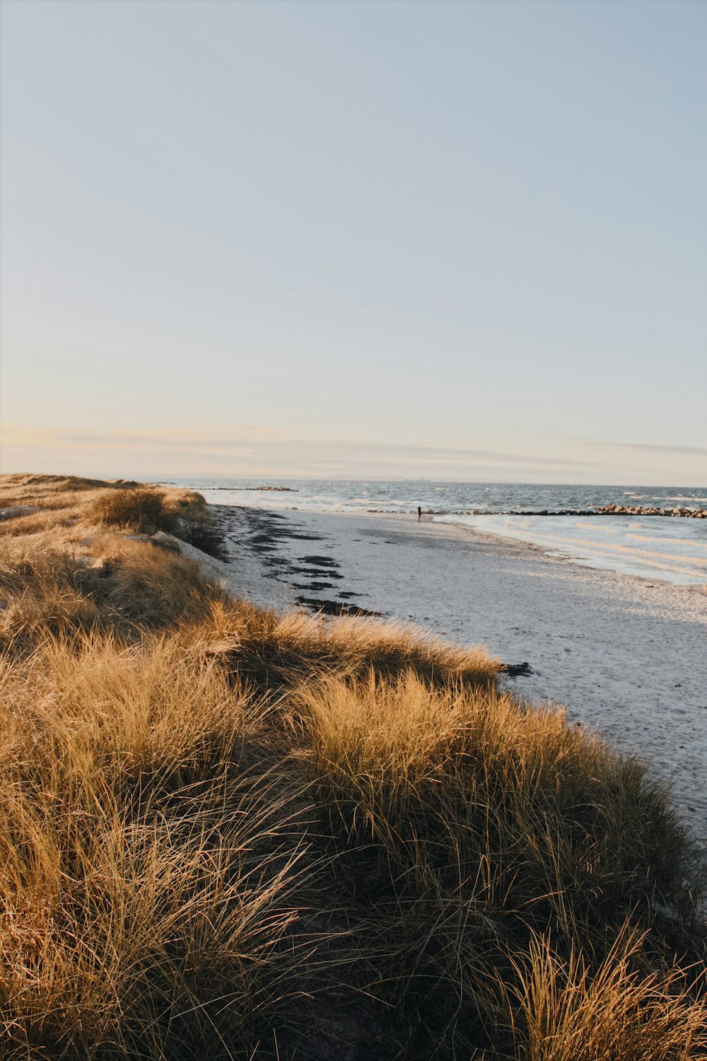 a sandy beach next to the ocean under a blue sky