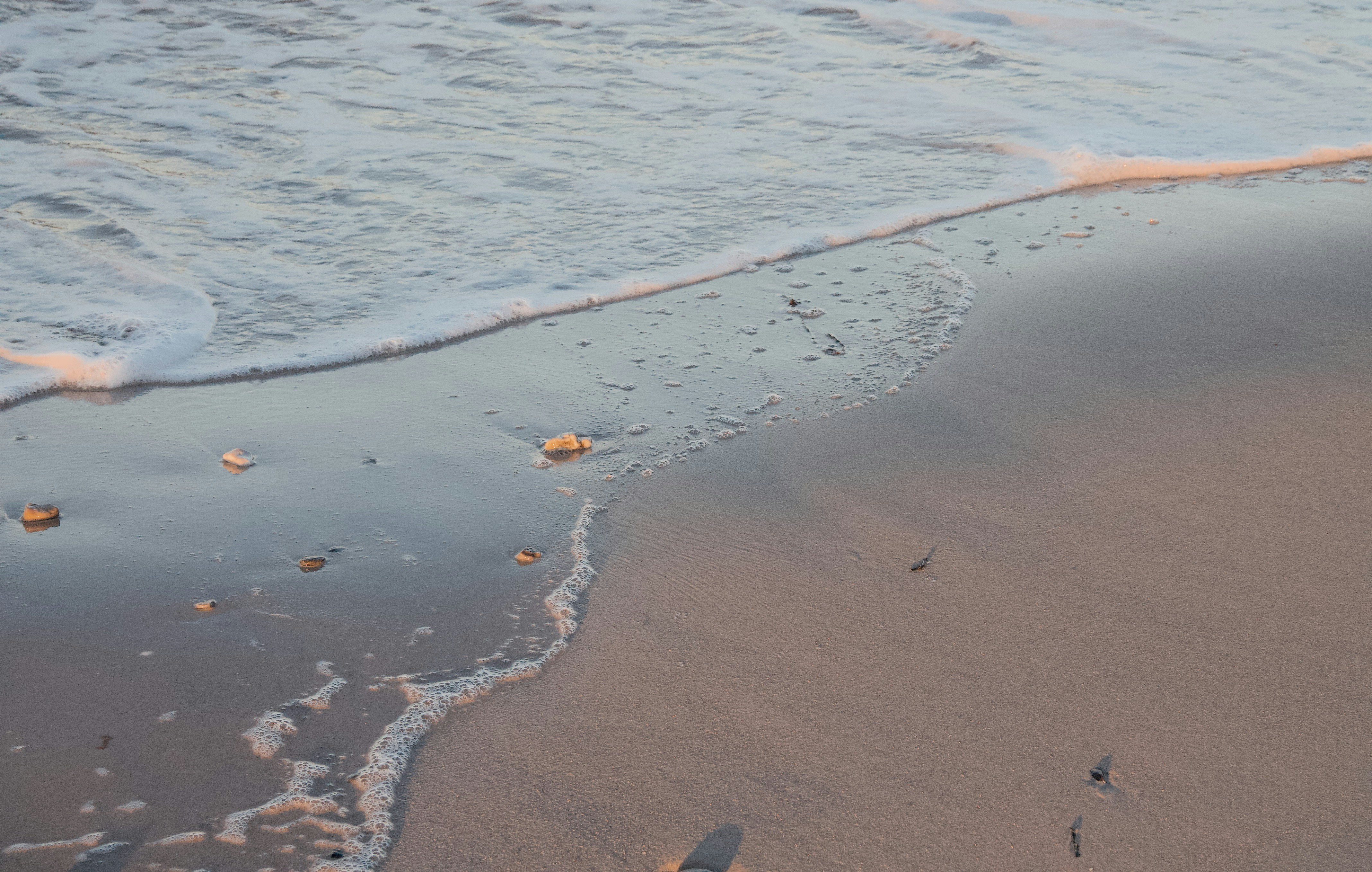 Photo by katharina_bill