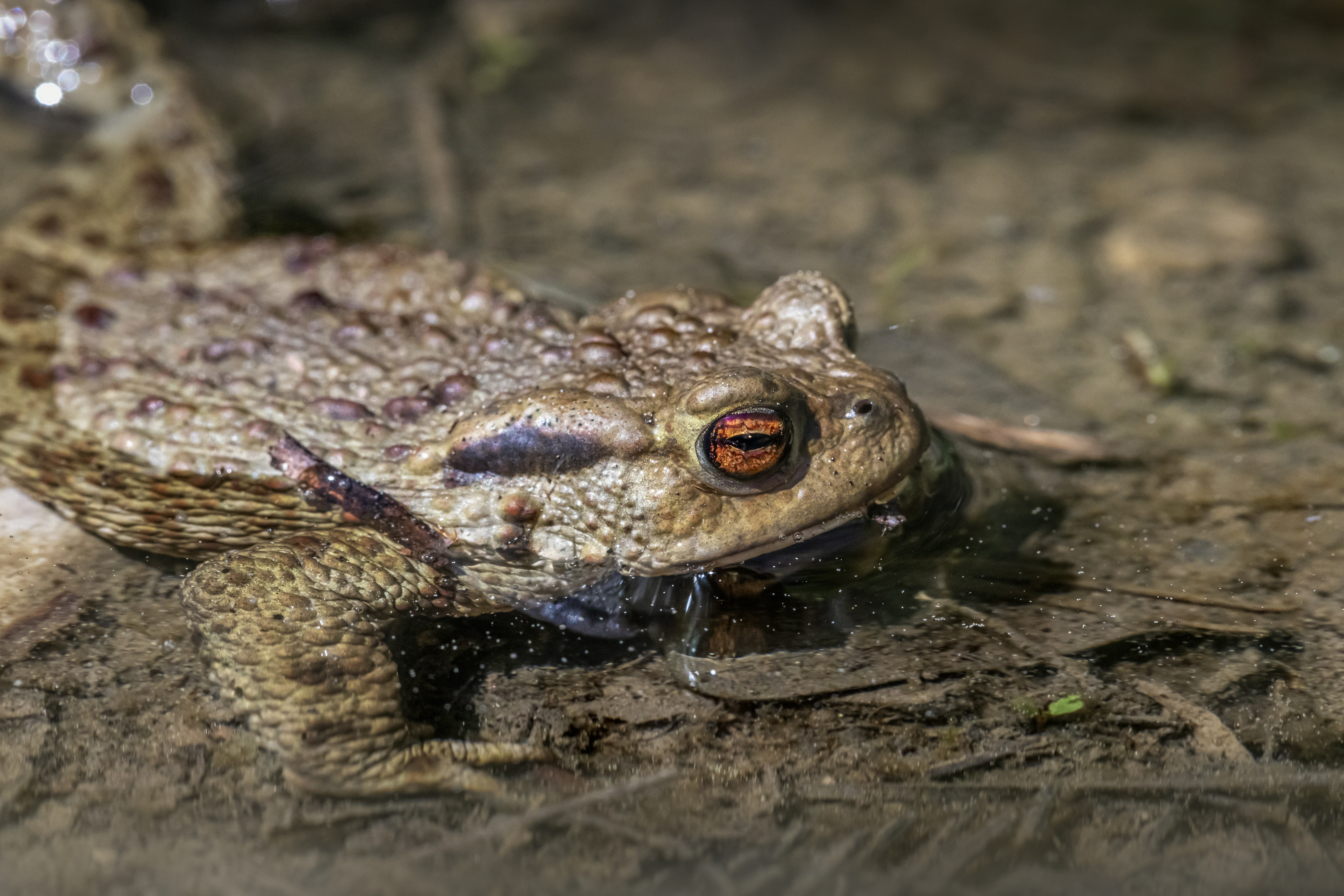 Photo by erik_karits