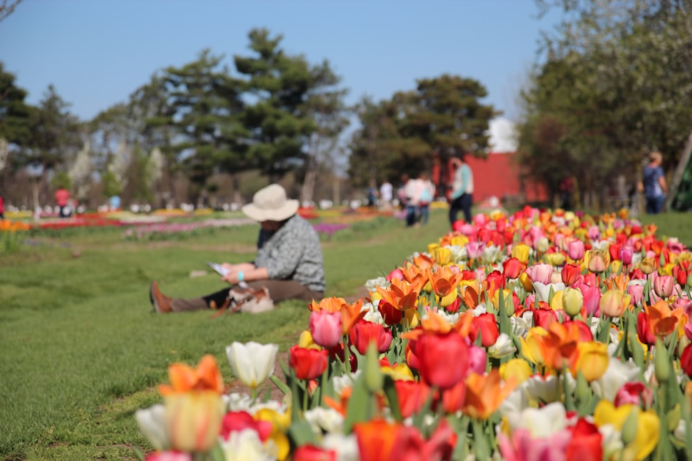 a man sitting on a bench in a field of tulips