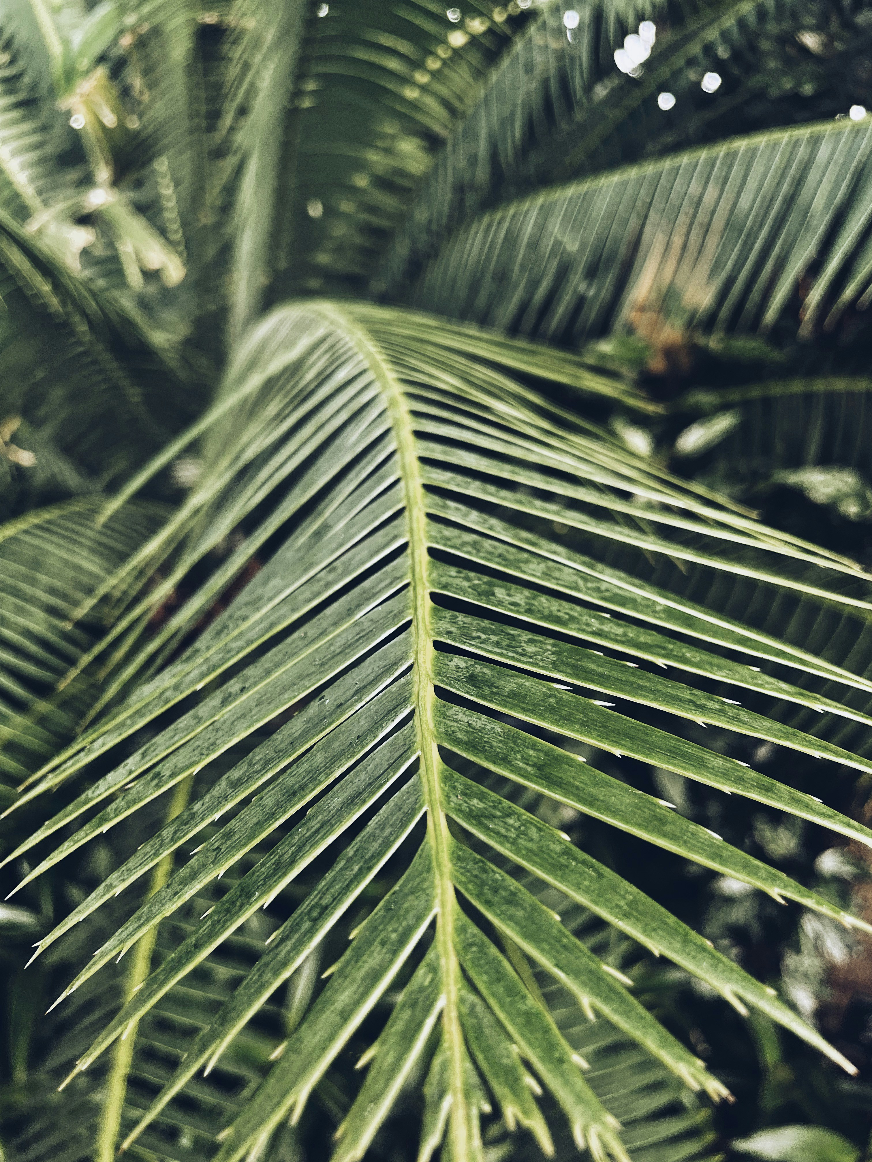 Photo by nshuman1291