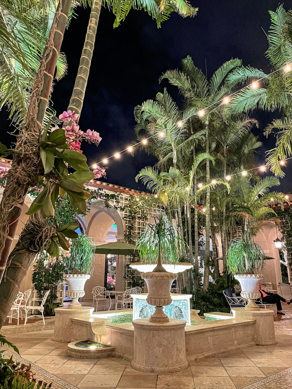a fountain surrounded by palm trees and lights