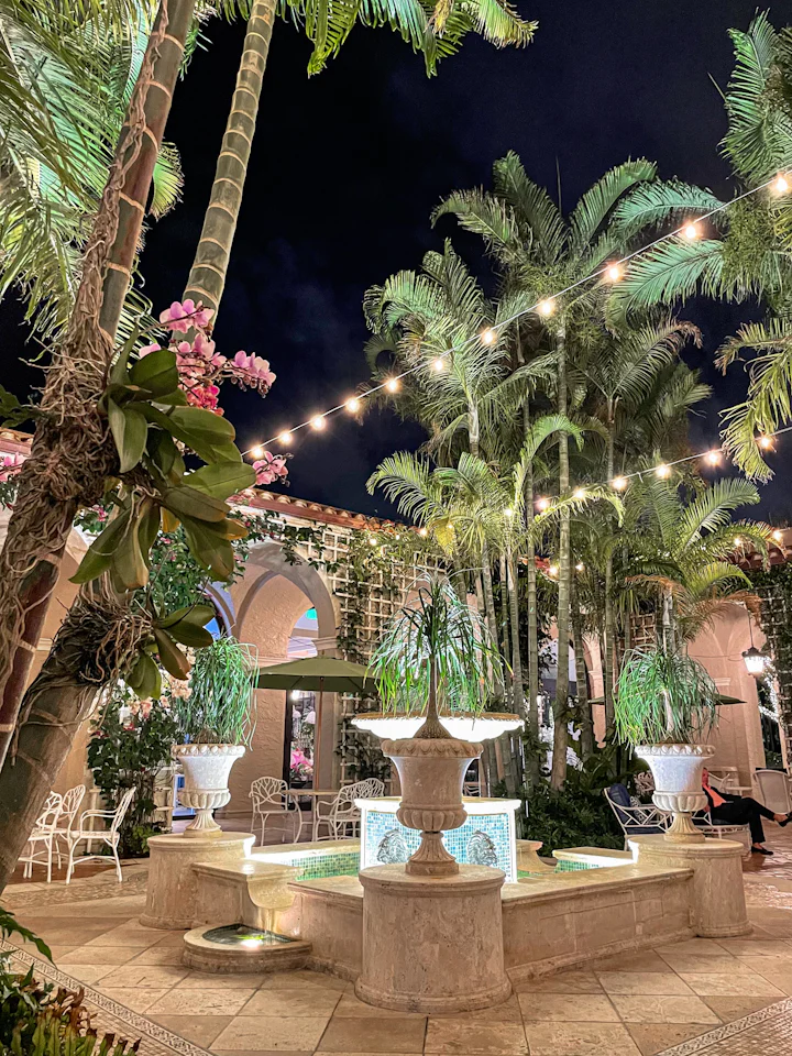 A courtyard with palm trees and strings of lights at night.