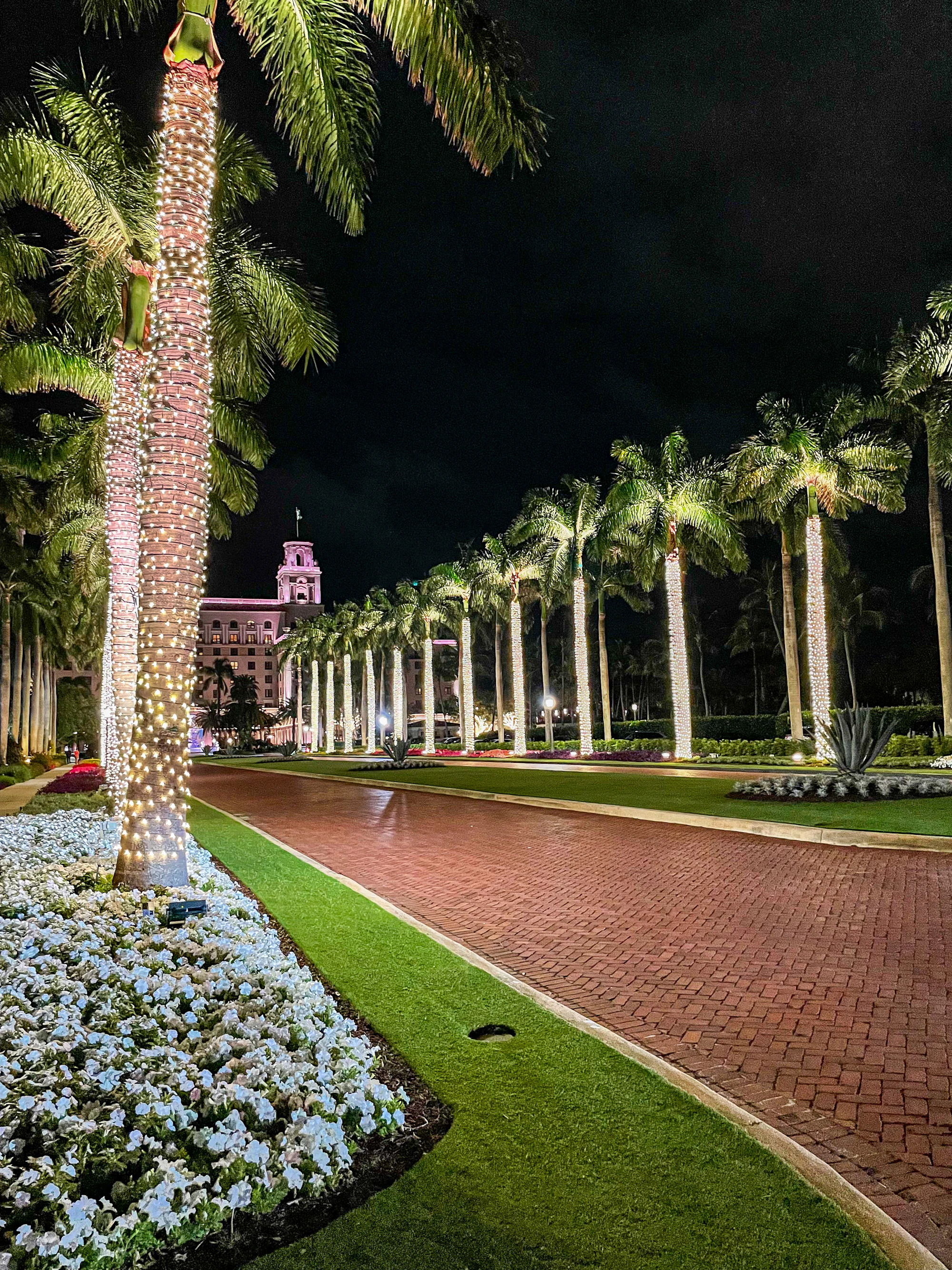 Palm trees glowing with warm white lights at night in Palm Beach, Florida