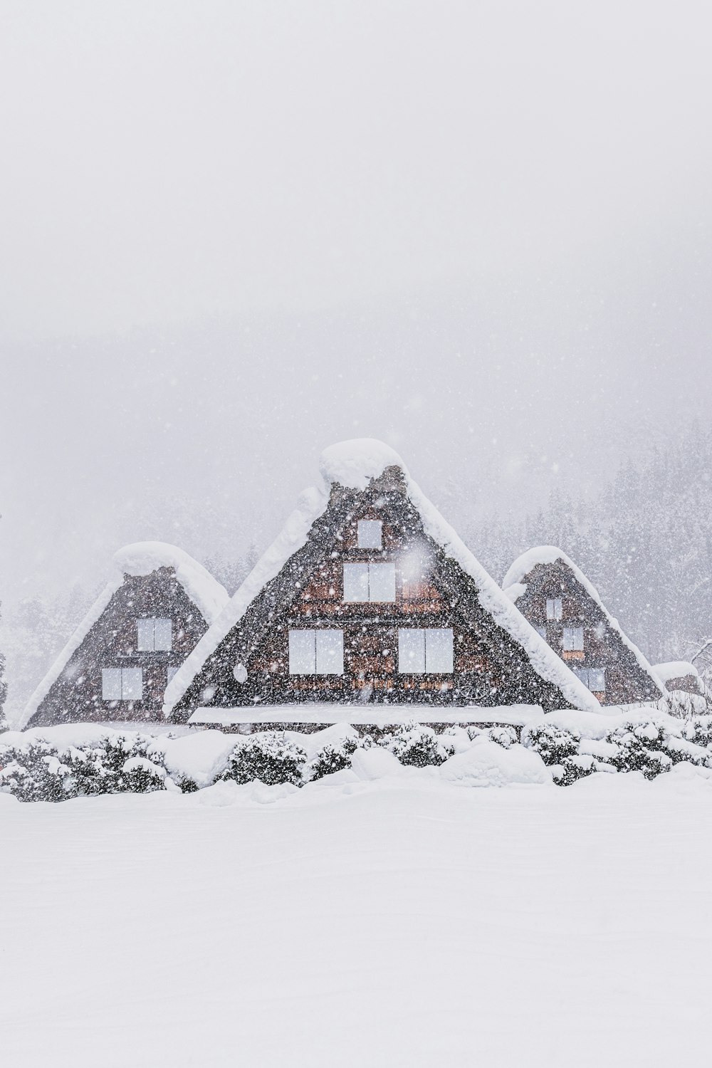 Ein schneebedecktes Haus mit Bäumen im Hintergrund