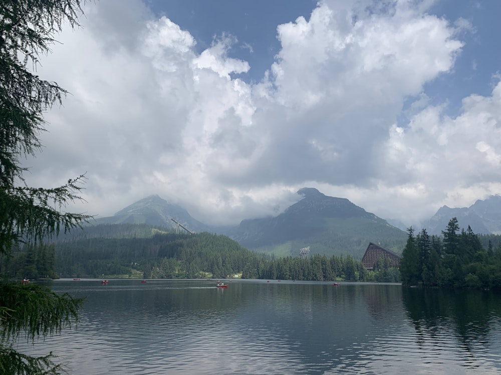 a body of water surrounded by trees and mountains