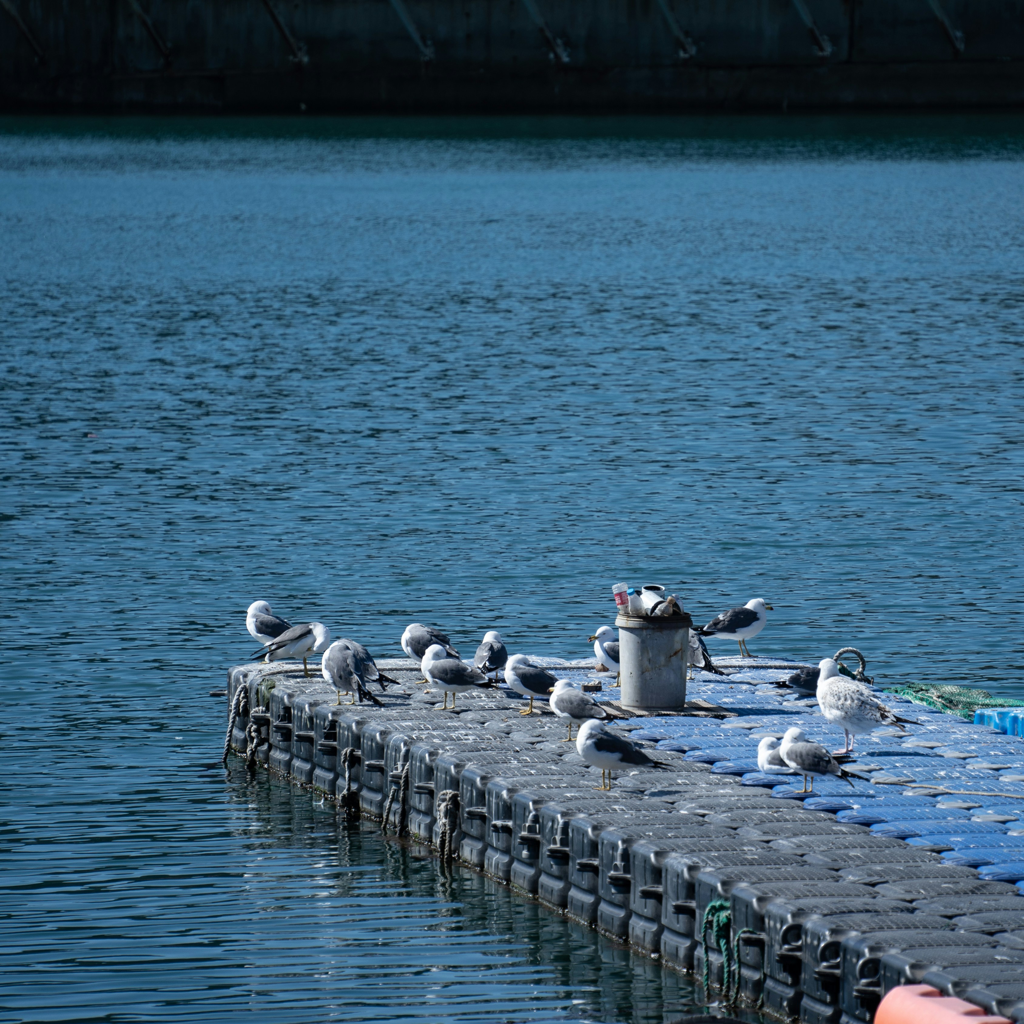 Photo by fourcubes