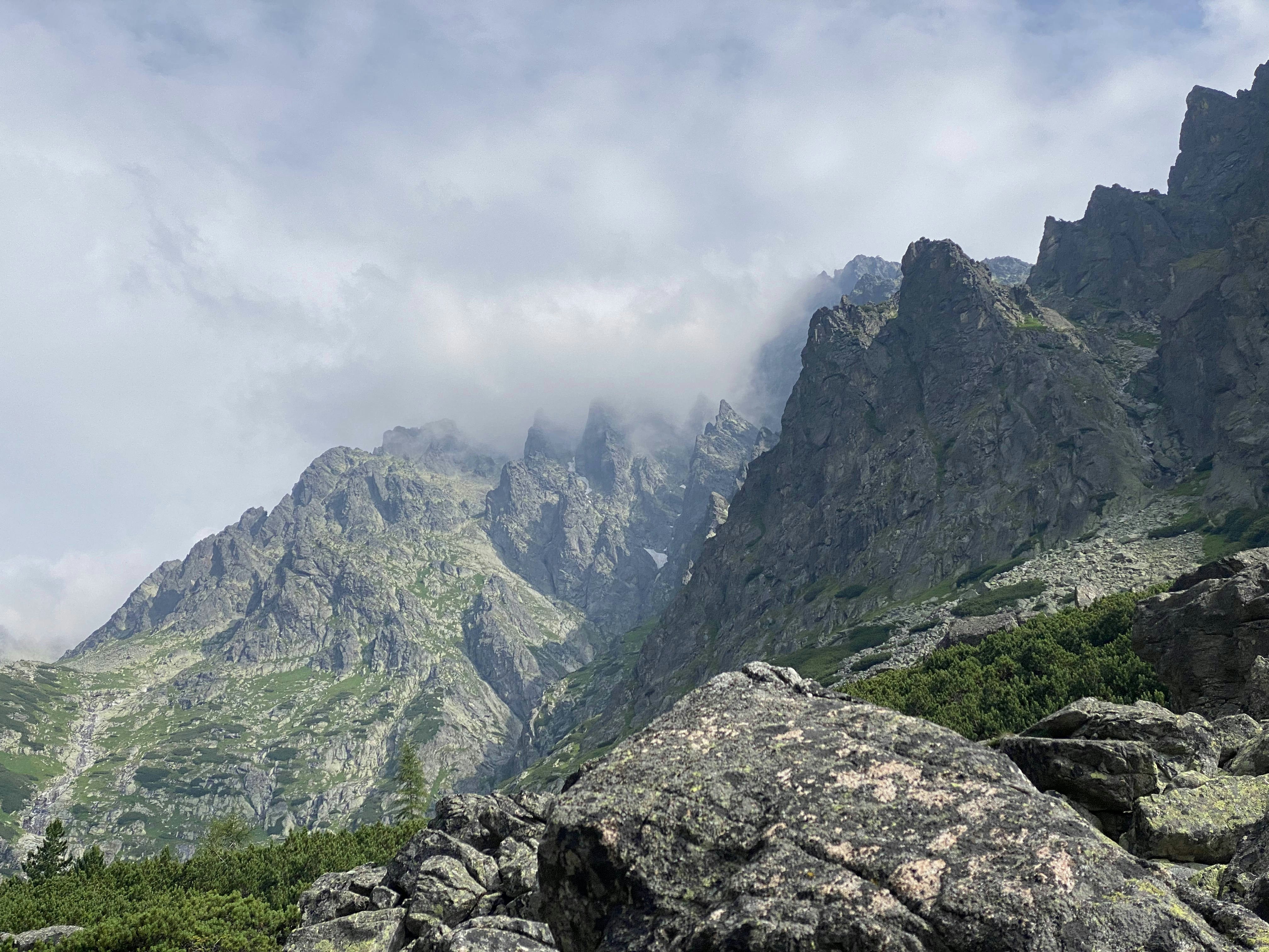 Photo by thetoxichuman