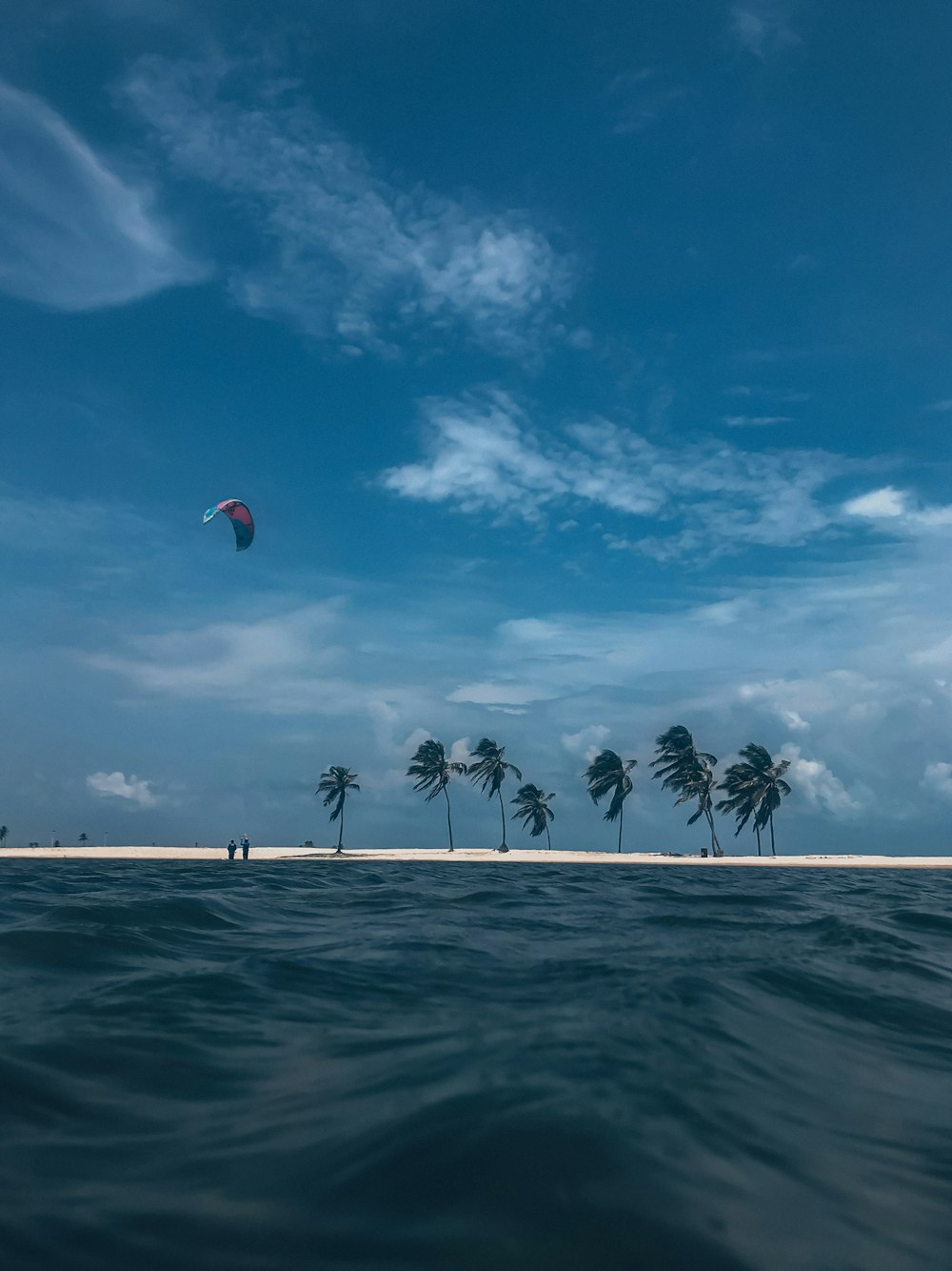 a kite flying over a beach with palm trees