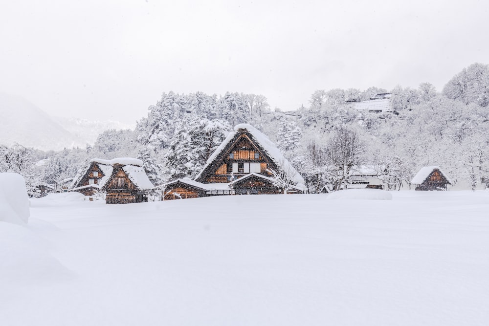 a snow covered mountain with a house in the foreground