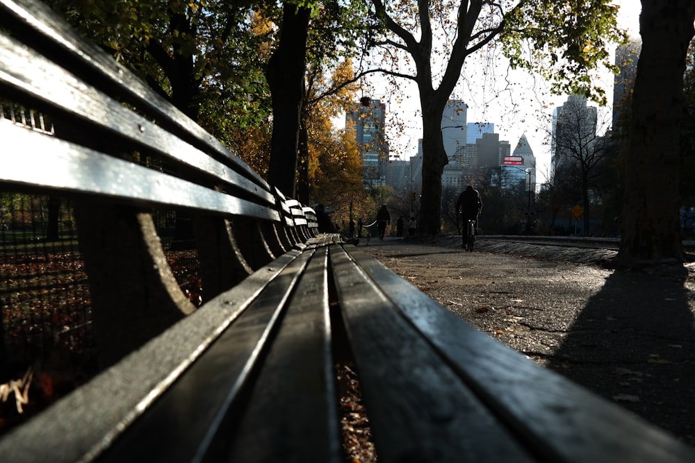 a park bench in the middle of a park