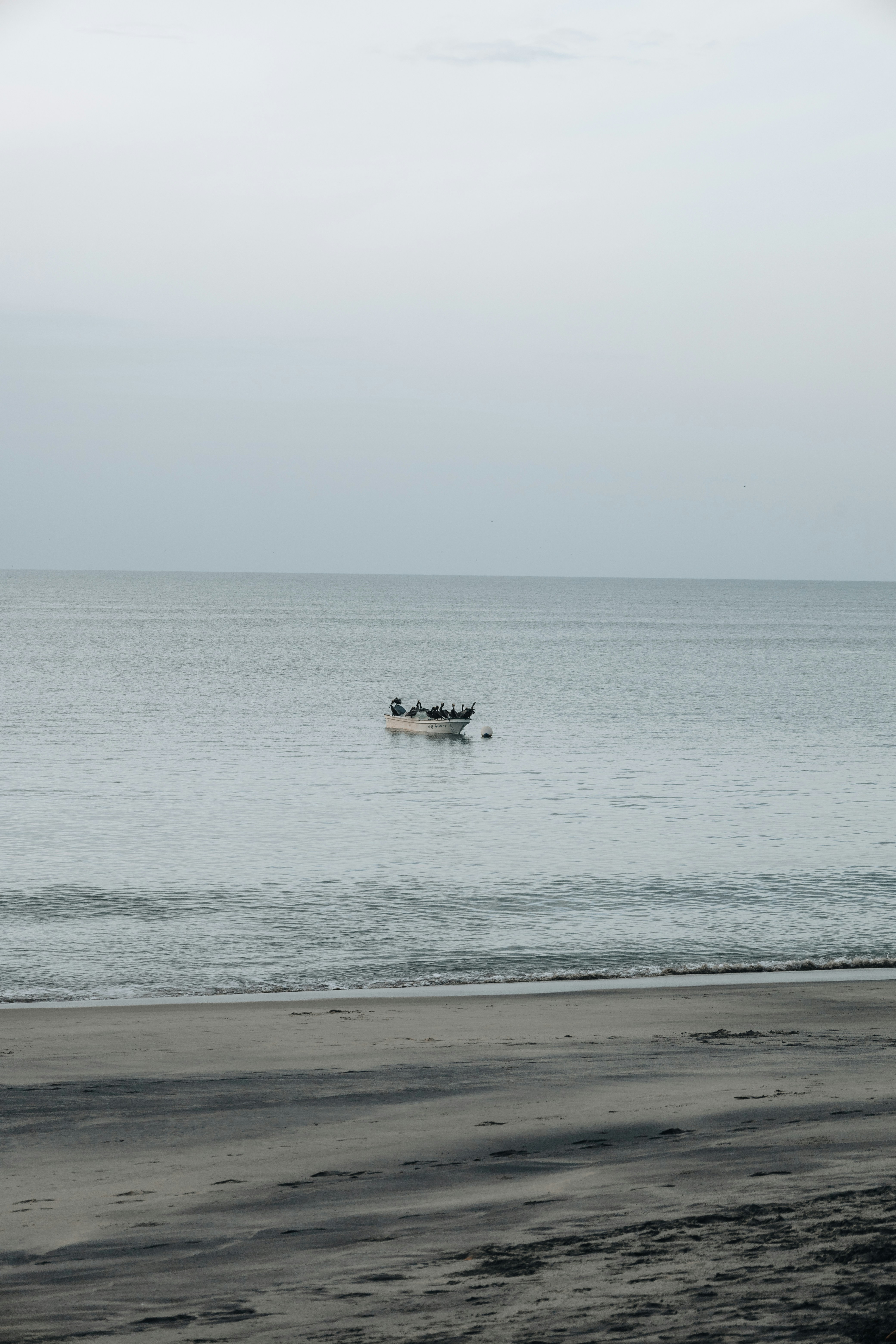 Photo by akajassd