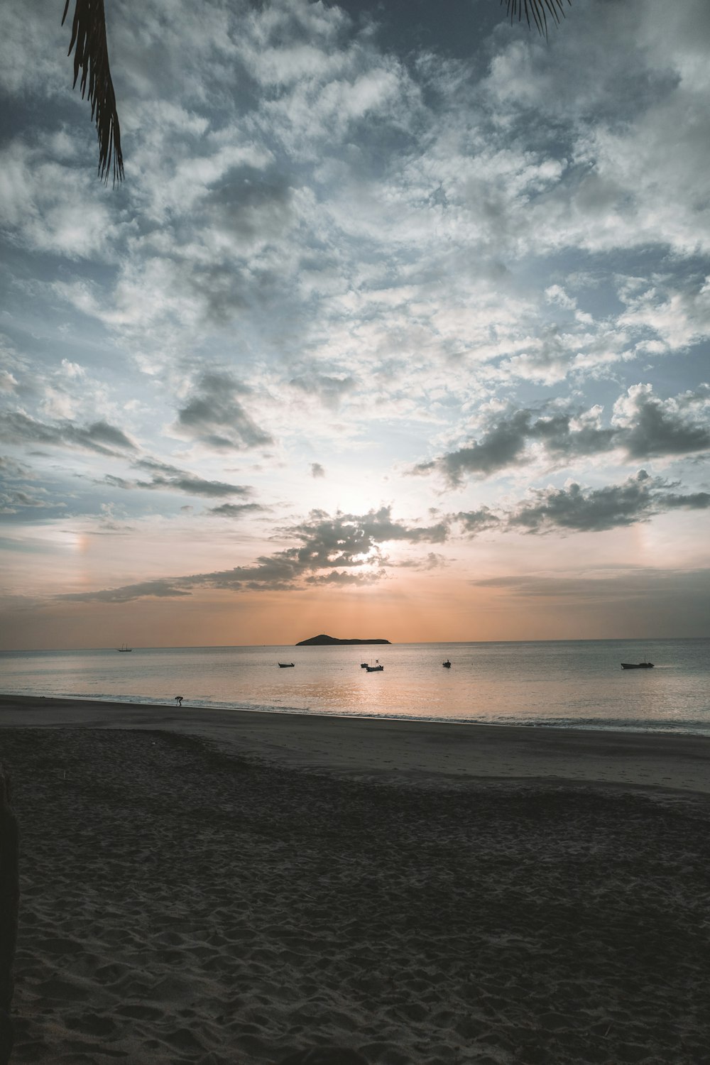 a person standing on a beach near the ocean