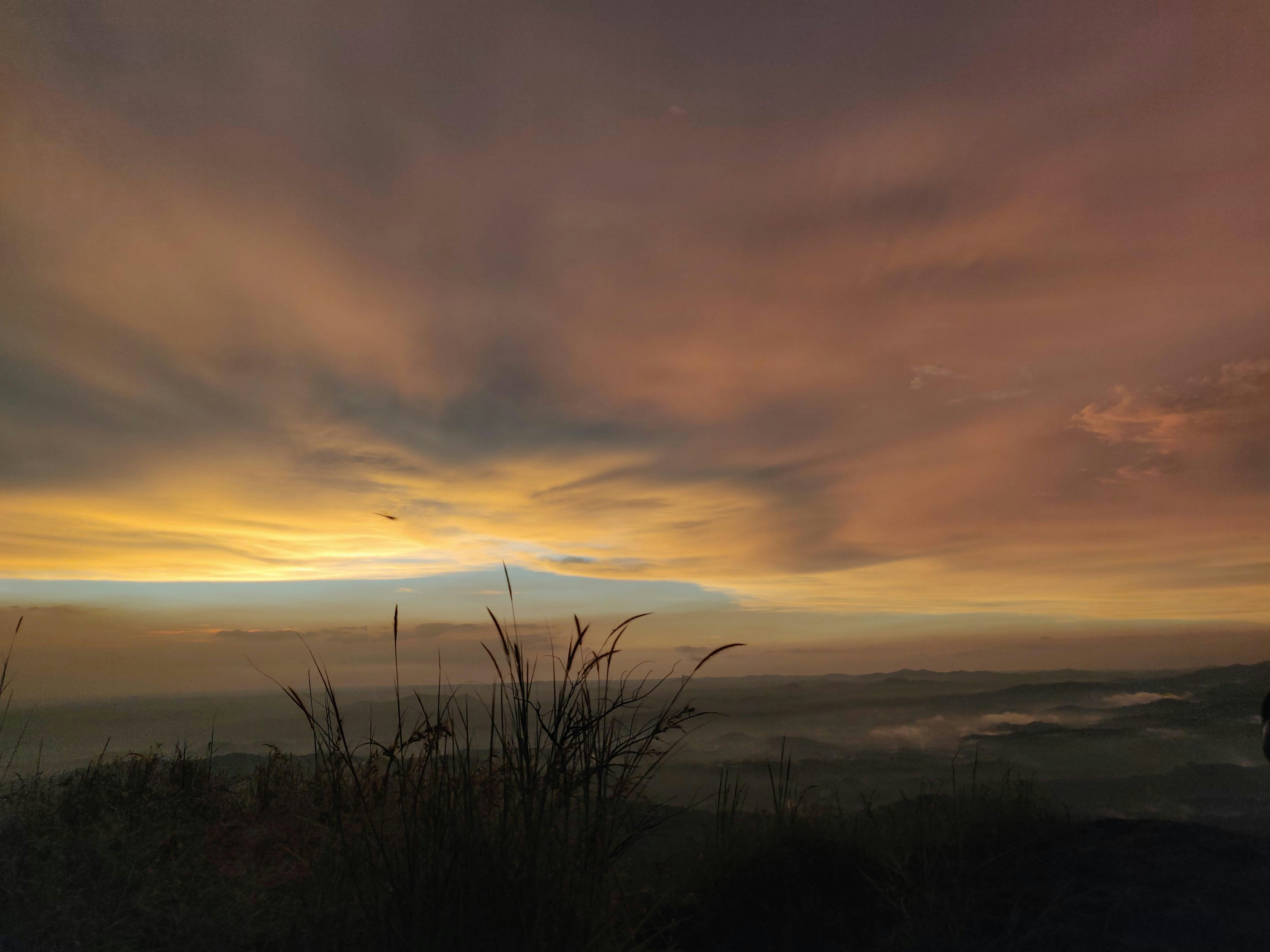 Photo by karenmark19