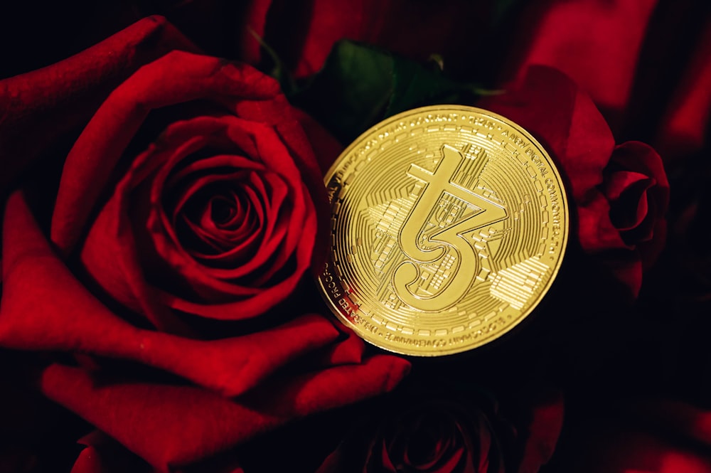 a close up of a rose with a bitcoin on it