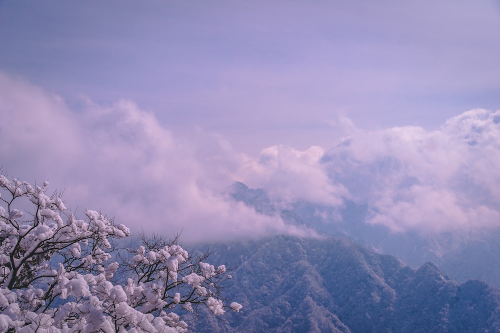 a view of a mountain range covered in snow