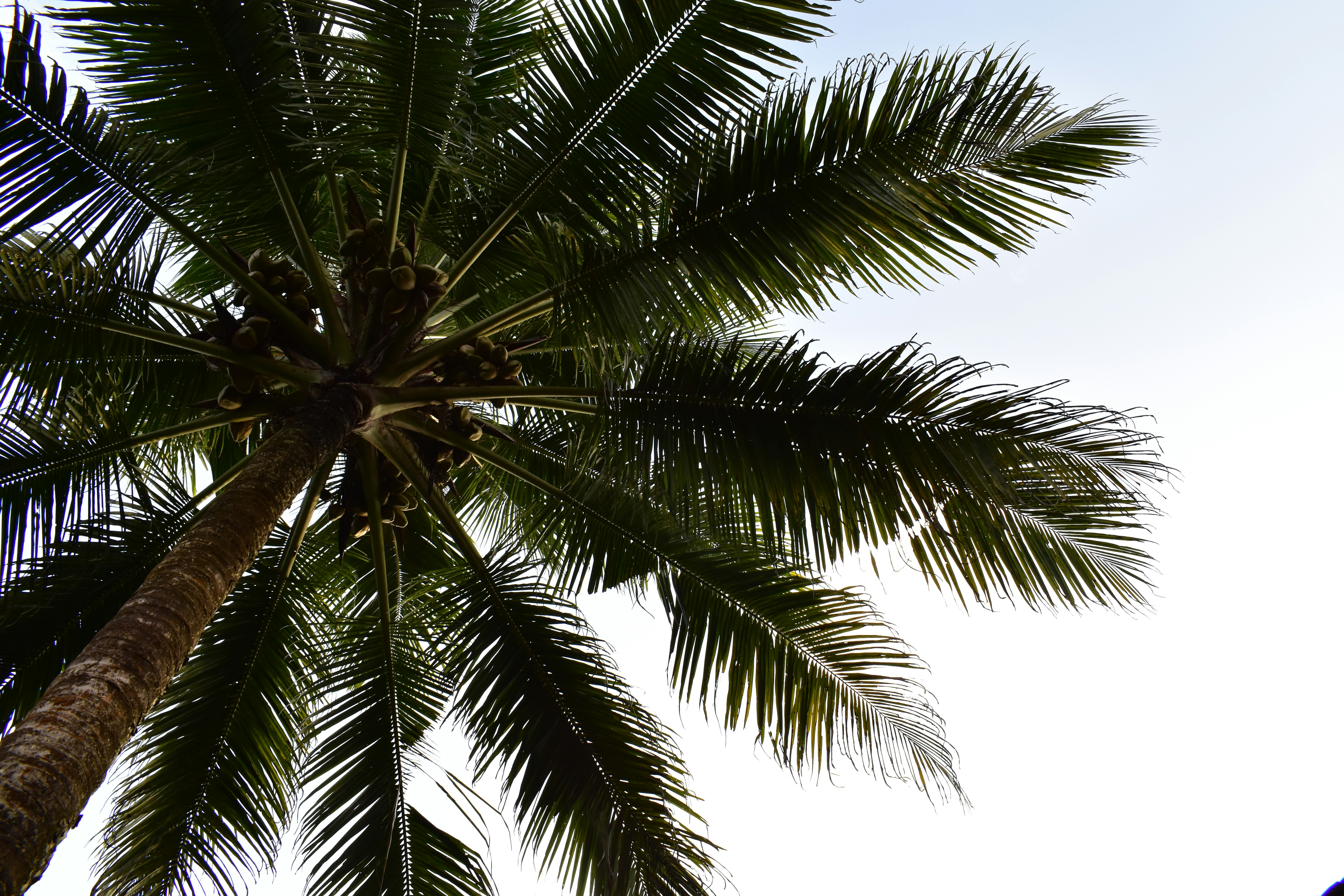 Photo by namithavinod