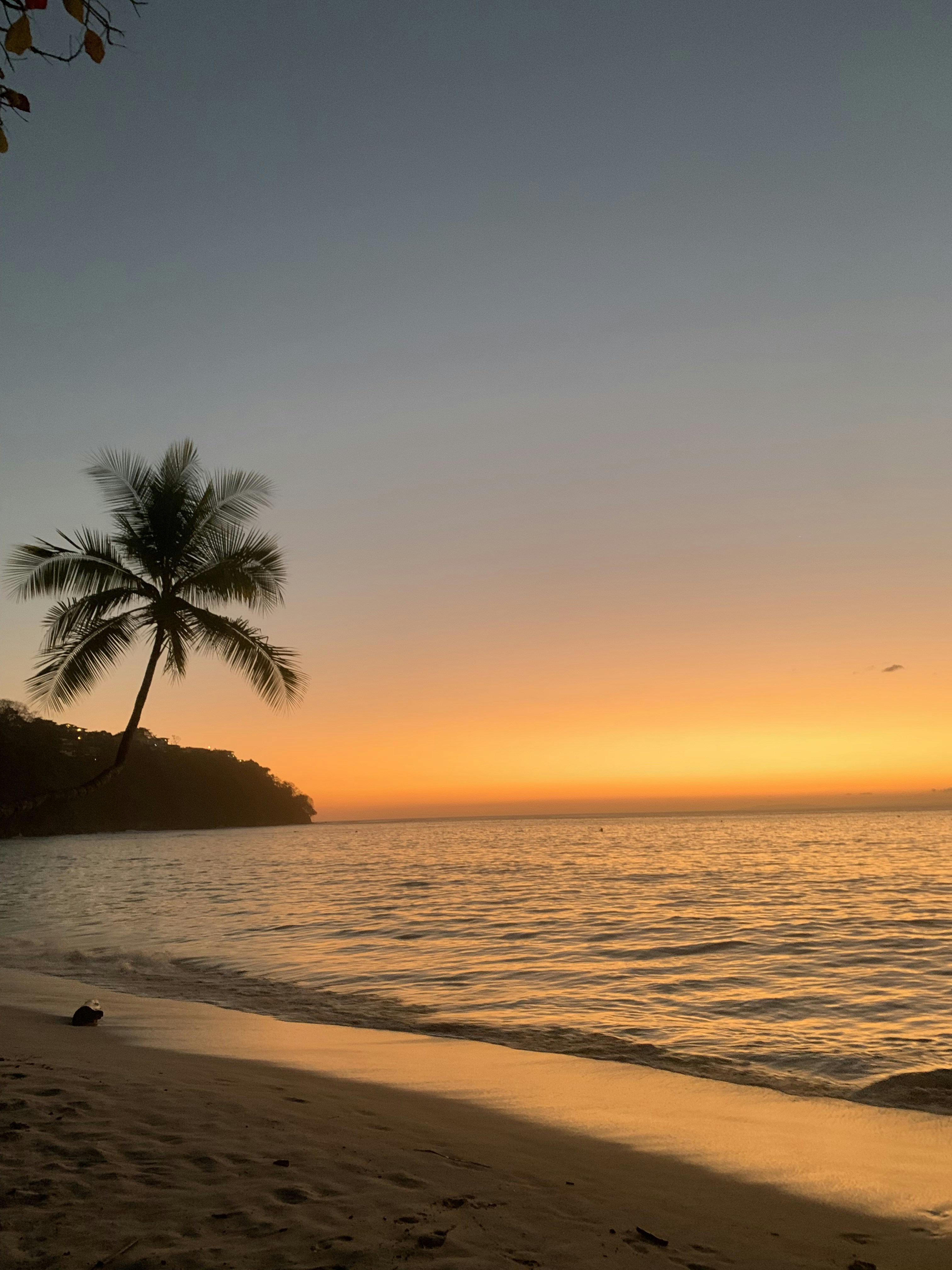 Photo by jmadrigalq07