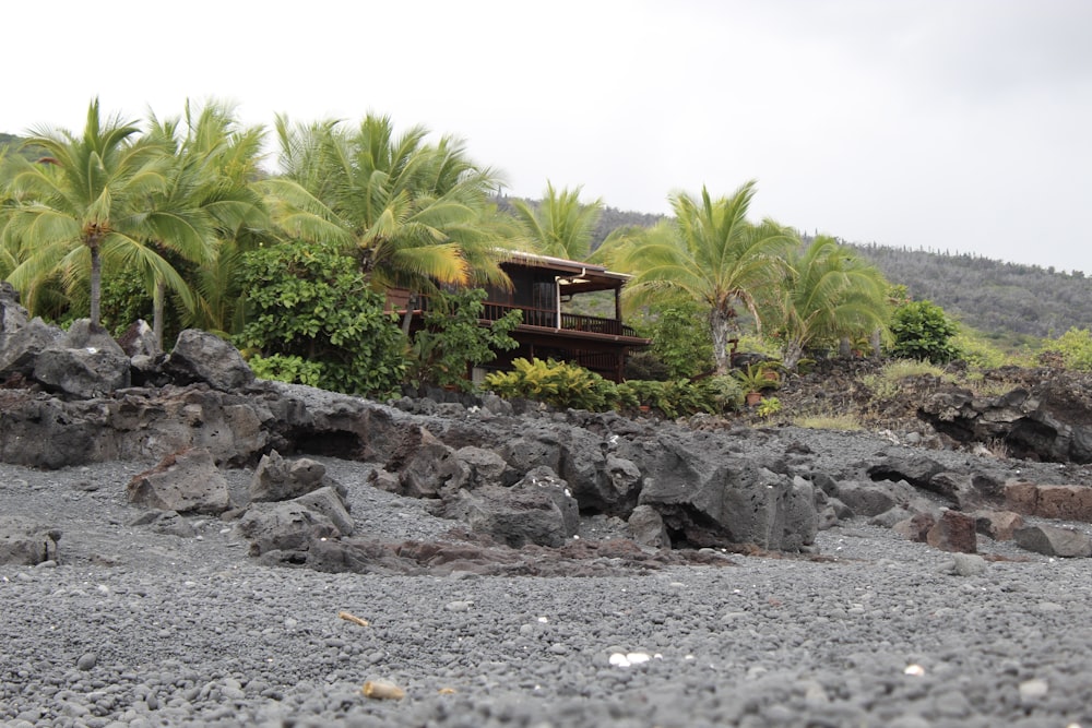 a house on a rocky beach surrounded by palm trees