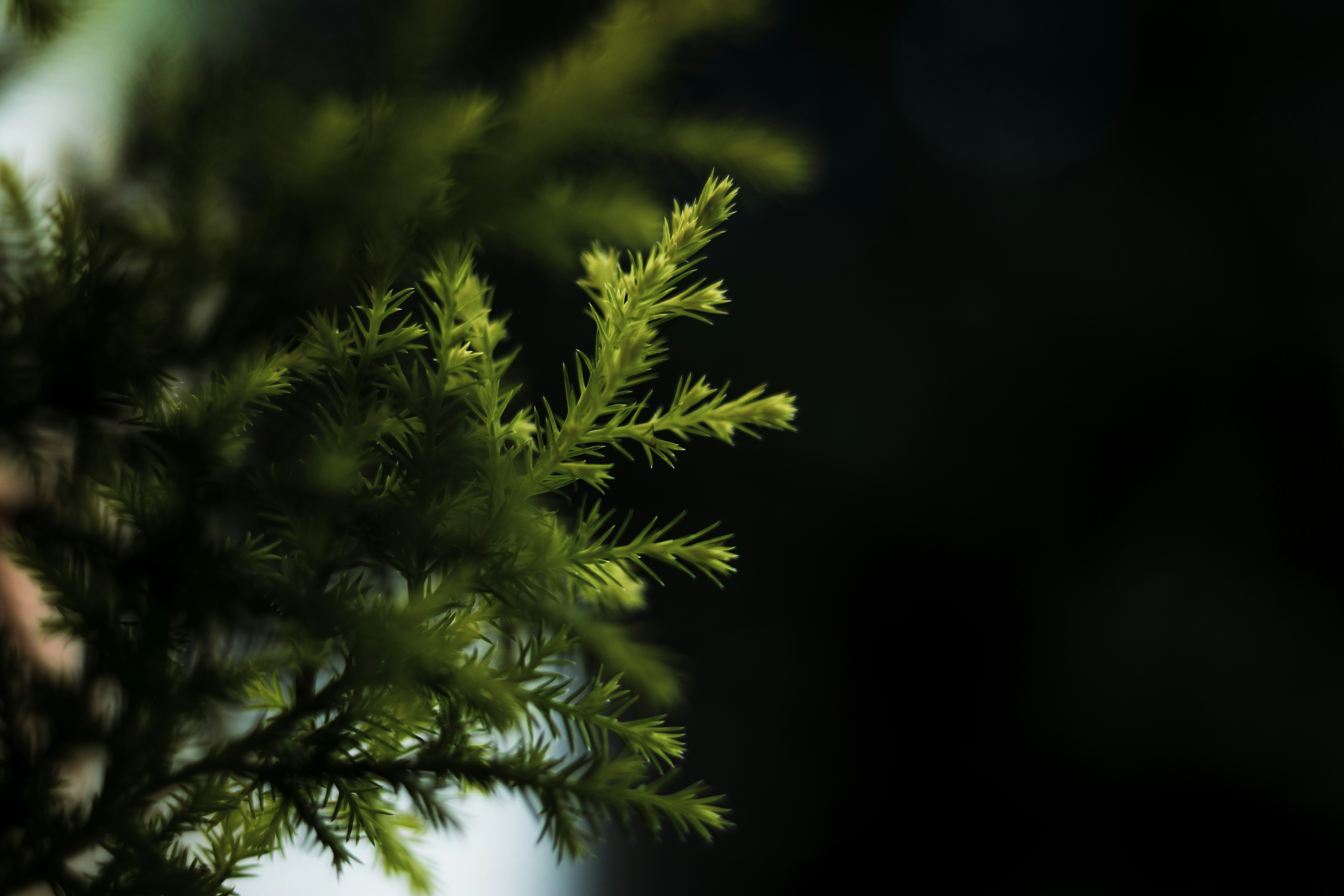 Photo by fotoclickerr