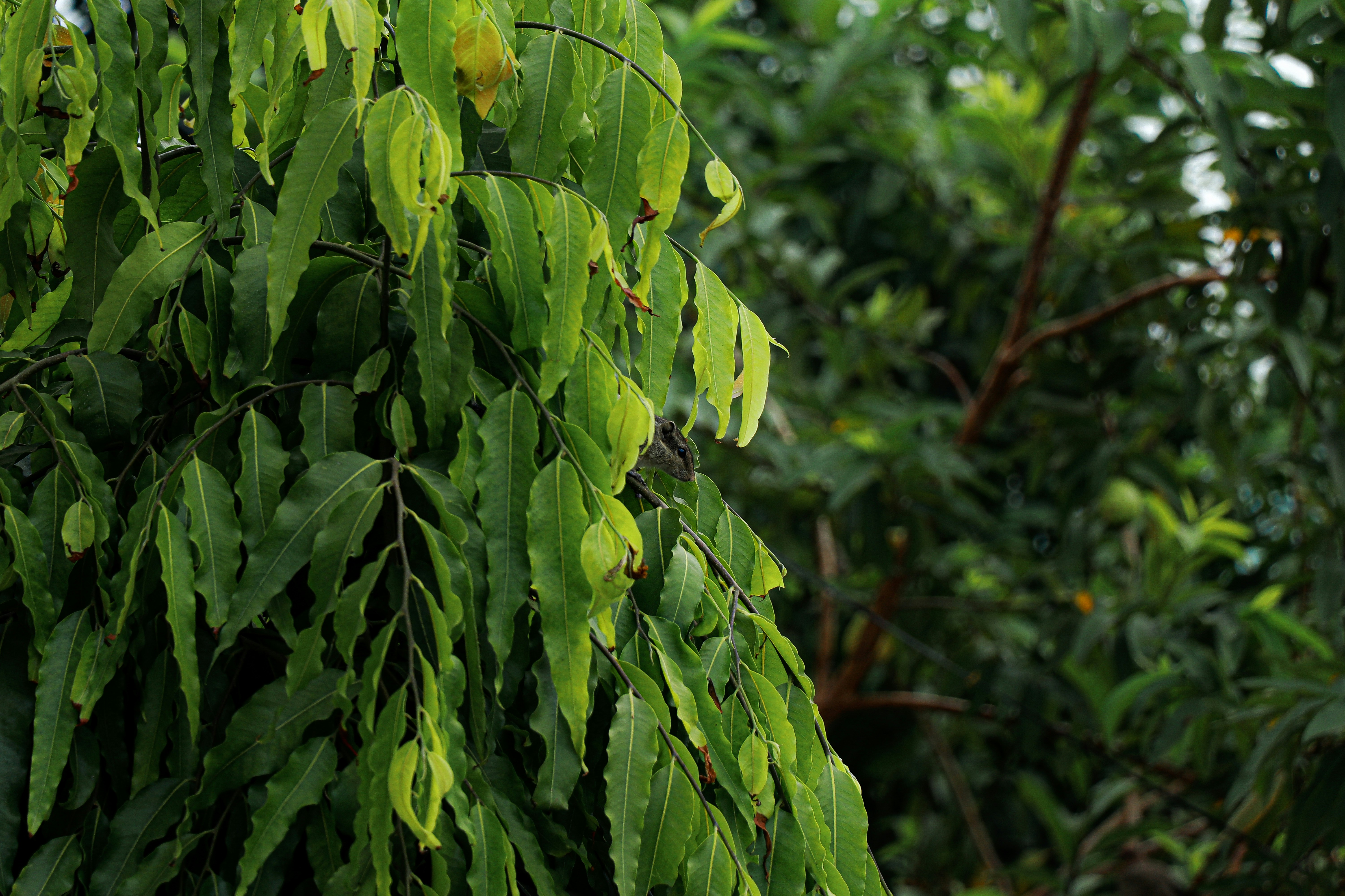 Photo by fotoclickerr