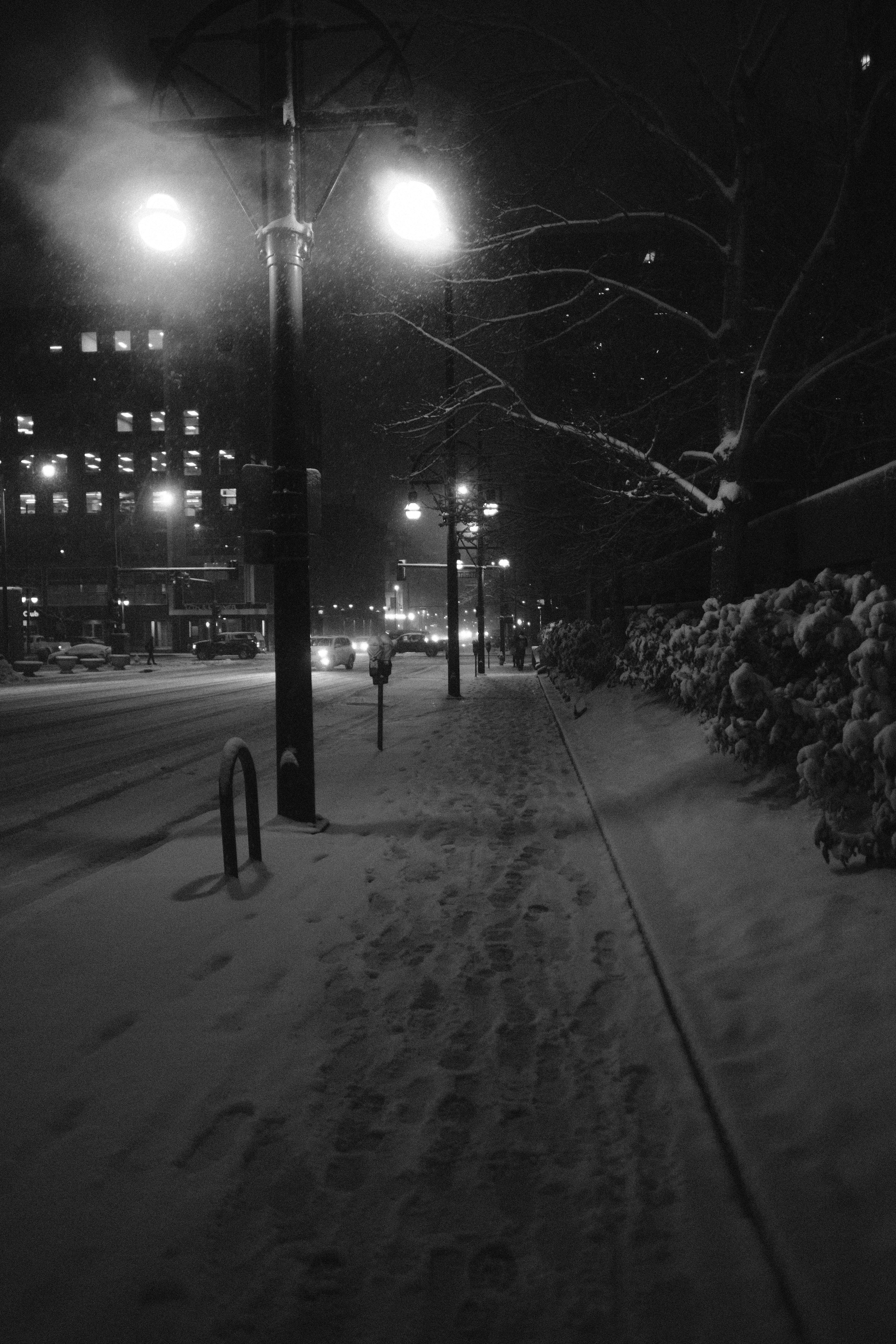 Photo by dillydallying