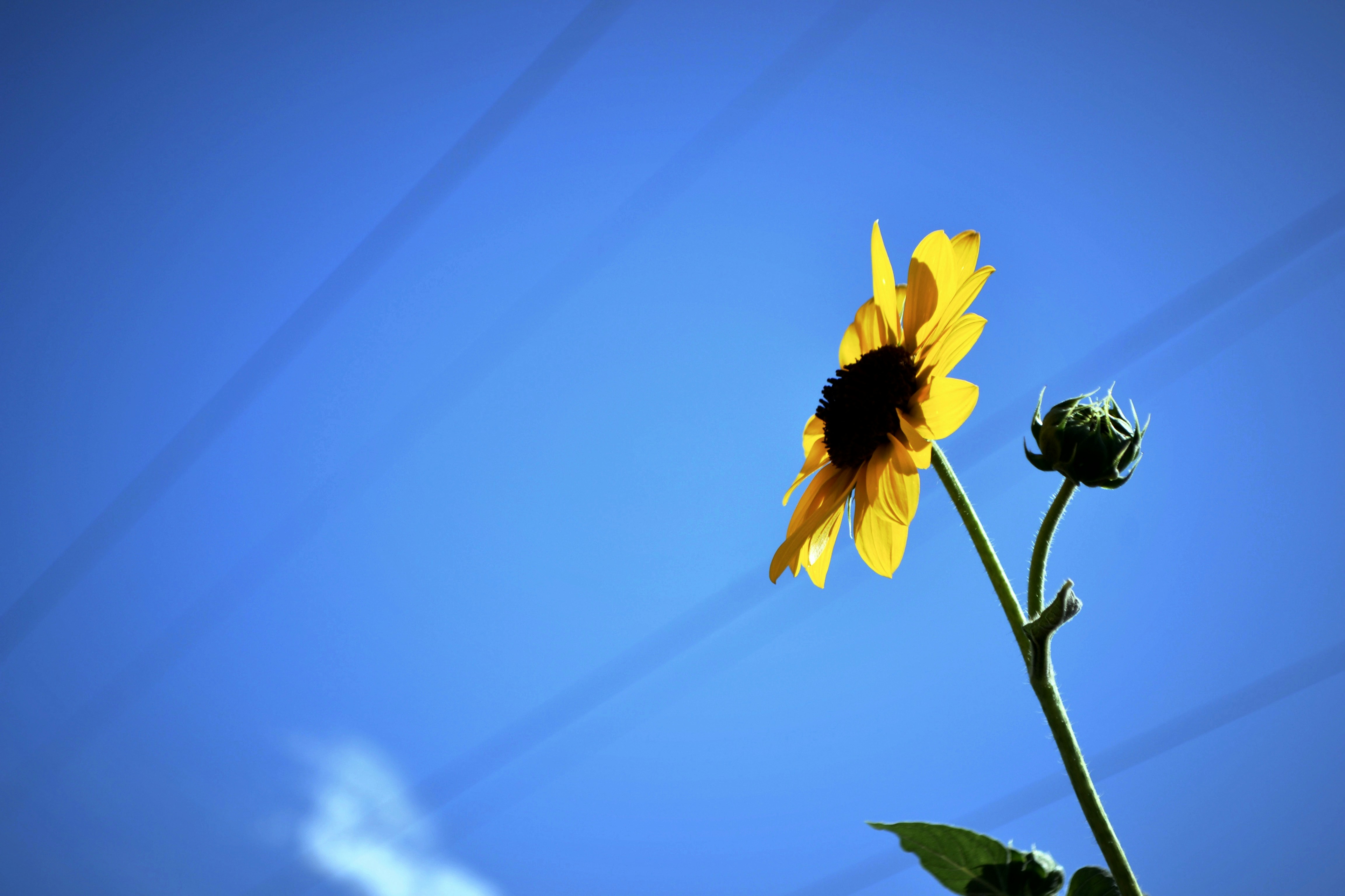 Photo by punkrockhippy_