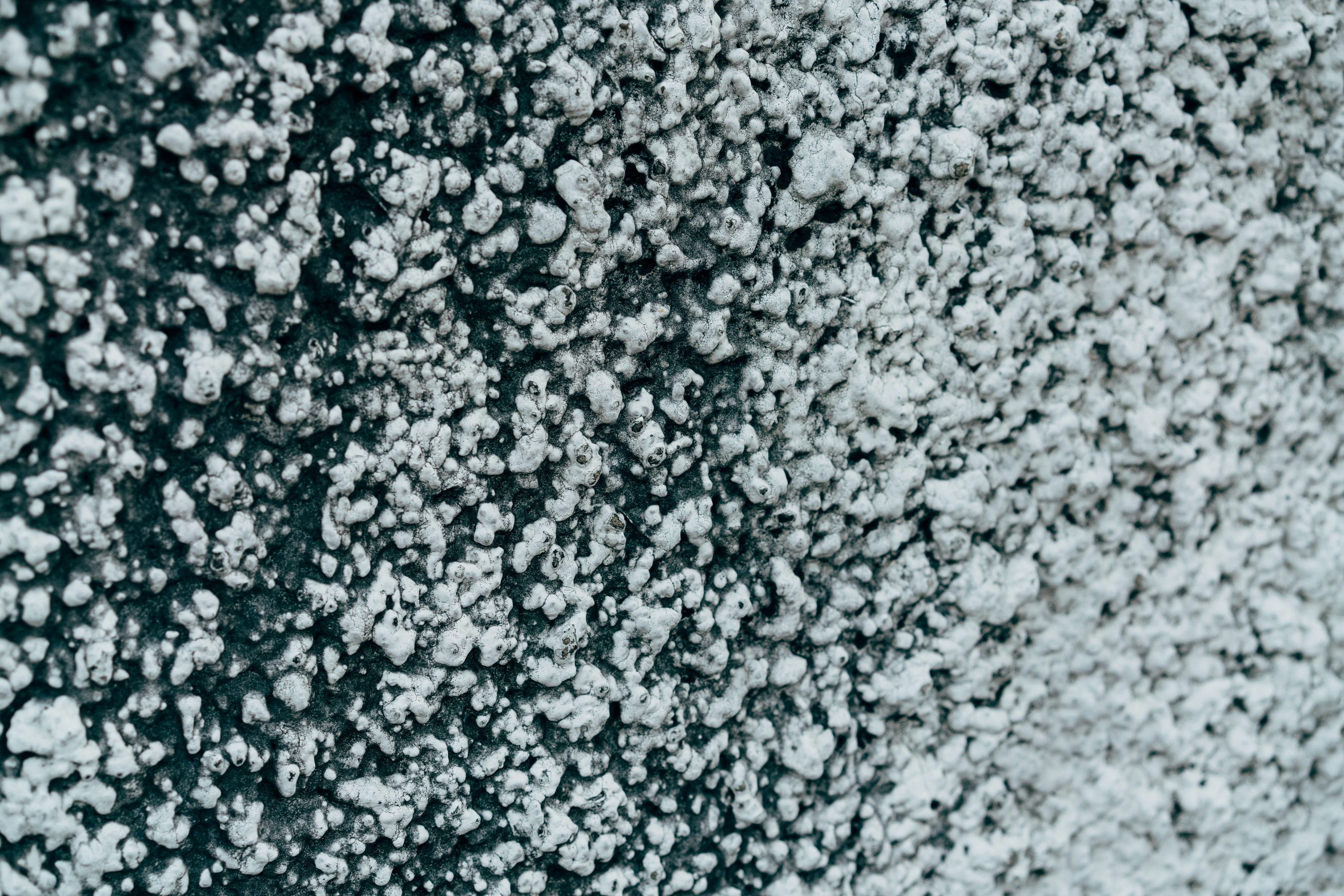 Photo by markuswinkler