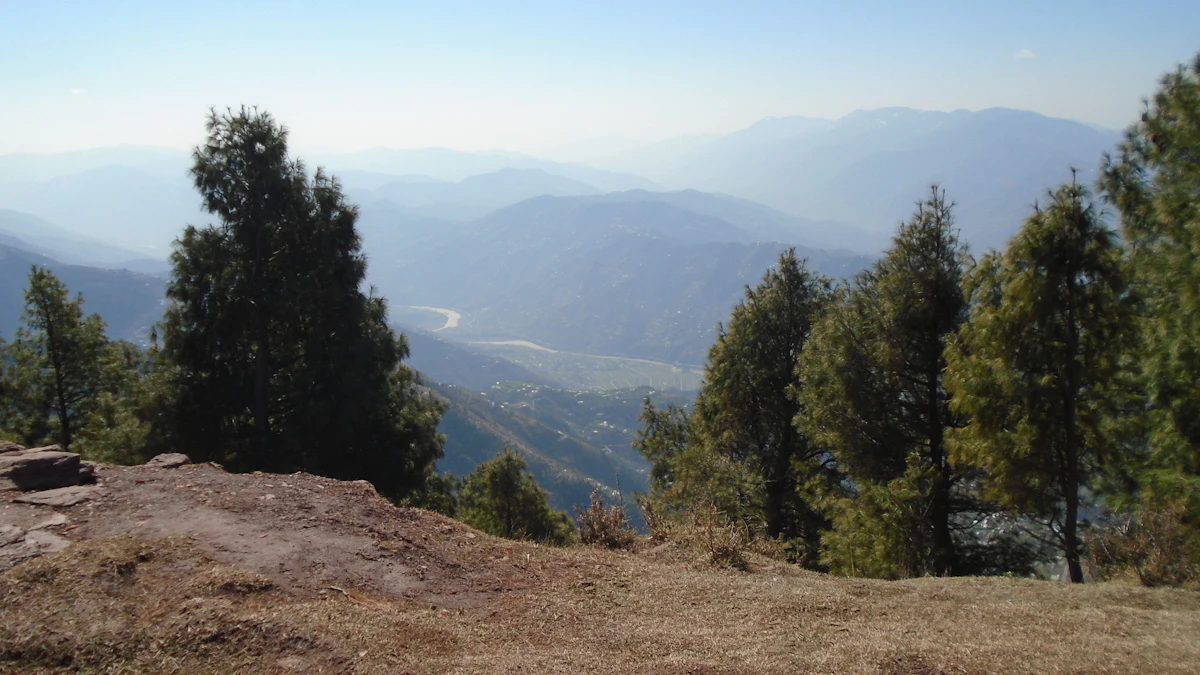 Serene natural landscape representing hope and recovery in mental health treatment
