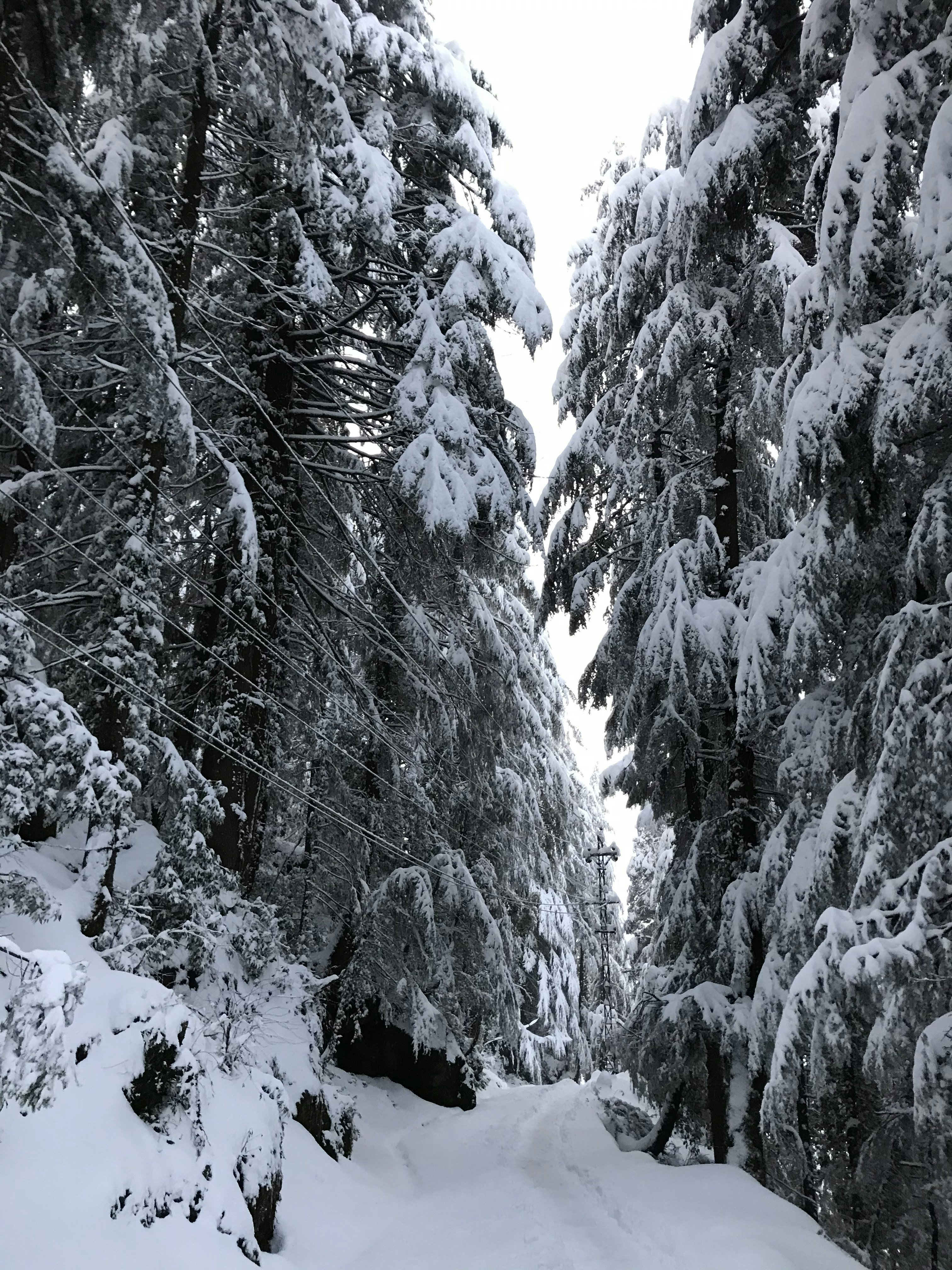 Photo by animeshchauhan