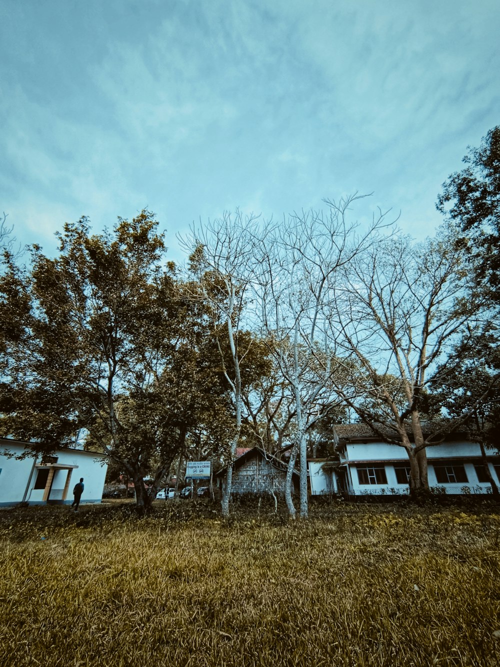 a house in the middle of a field with trees in the background