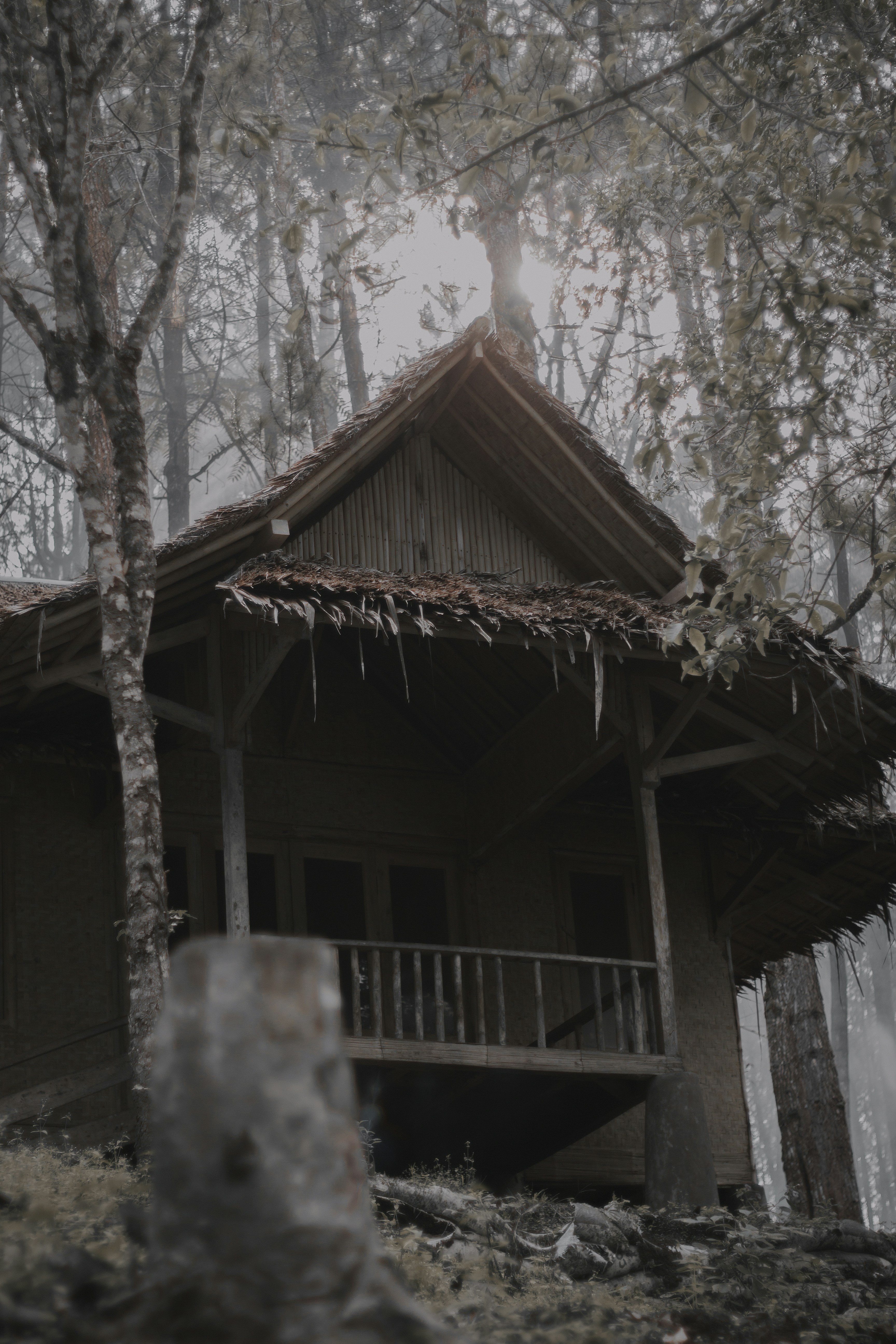 A house in the middle of a forest photo – Free Nature Image on Unsplash