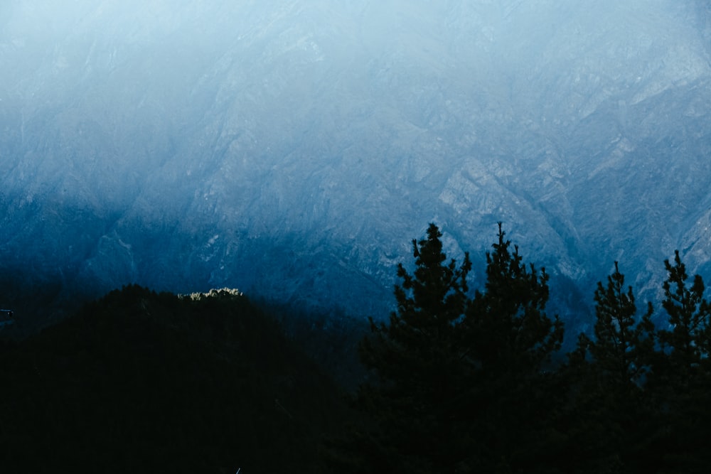 a view of a mountain range with trees in the foreground