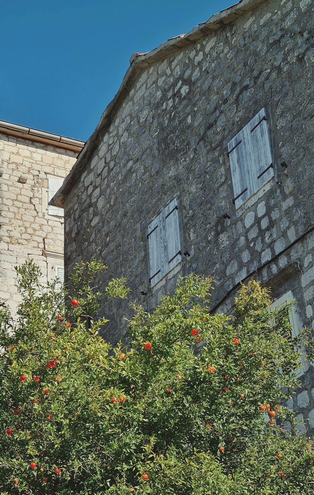 an old stone building with two windows and a tree in front of it