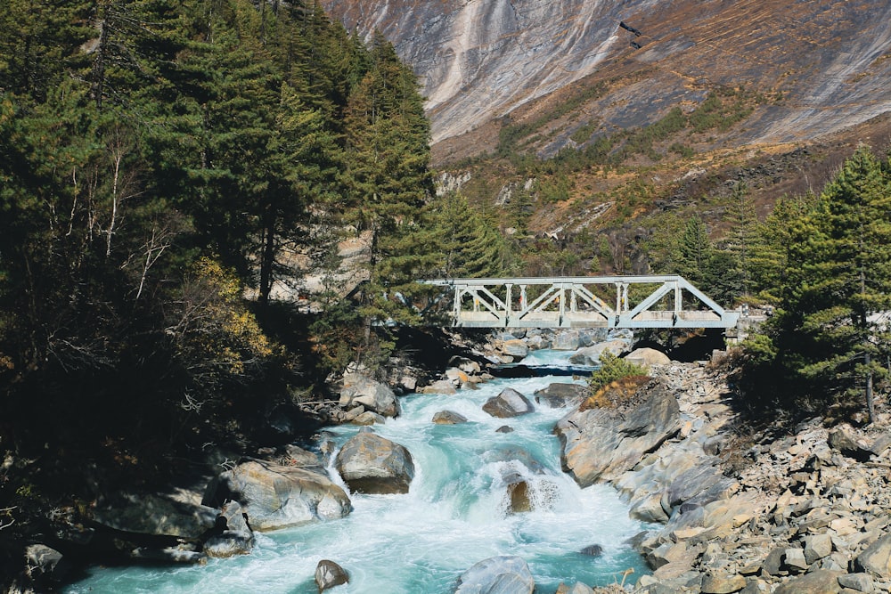 a bridge over a river surrounded by trees