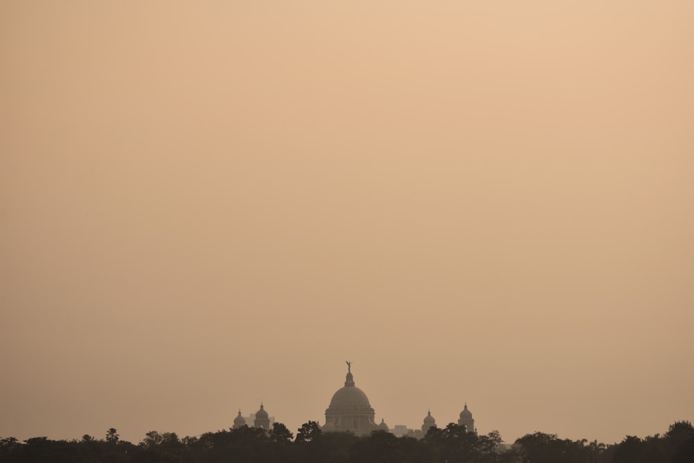 a plane flying over a city with trees in the foreground