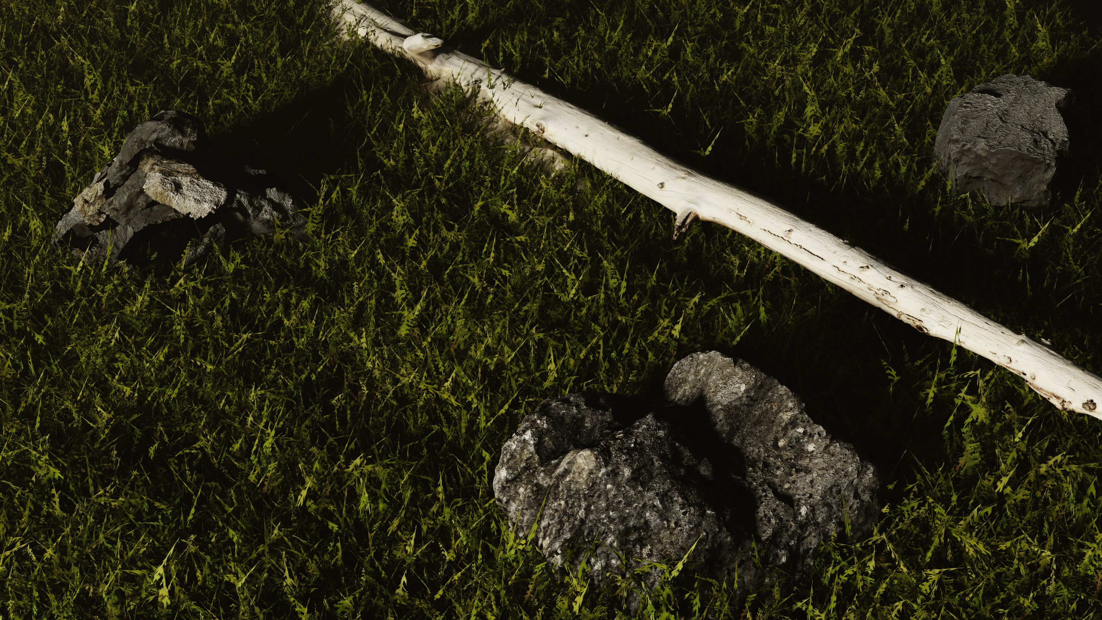 a fallen tree laying on top of a lush green field
