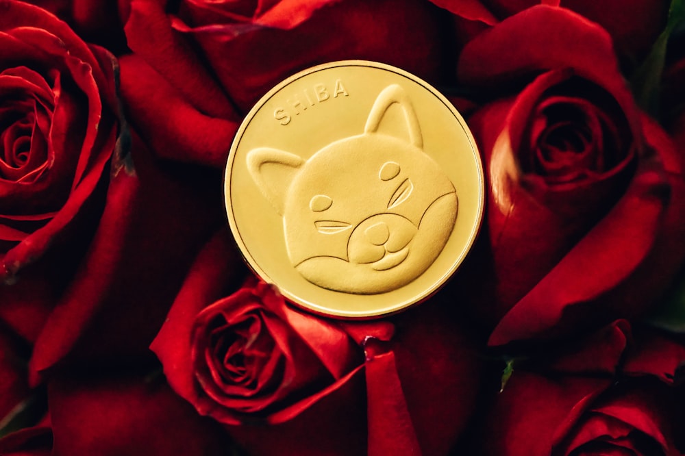 a close up of a gold coin with a cat on it