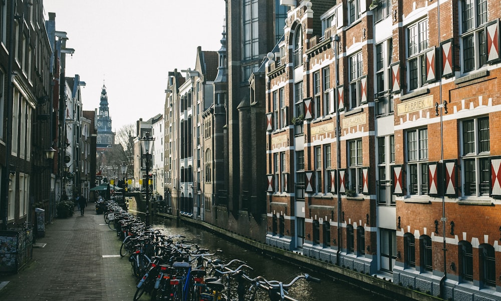 a row of parked bicycles next to a canal