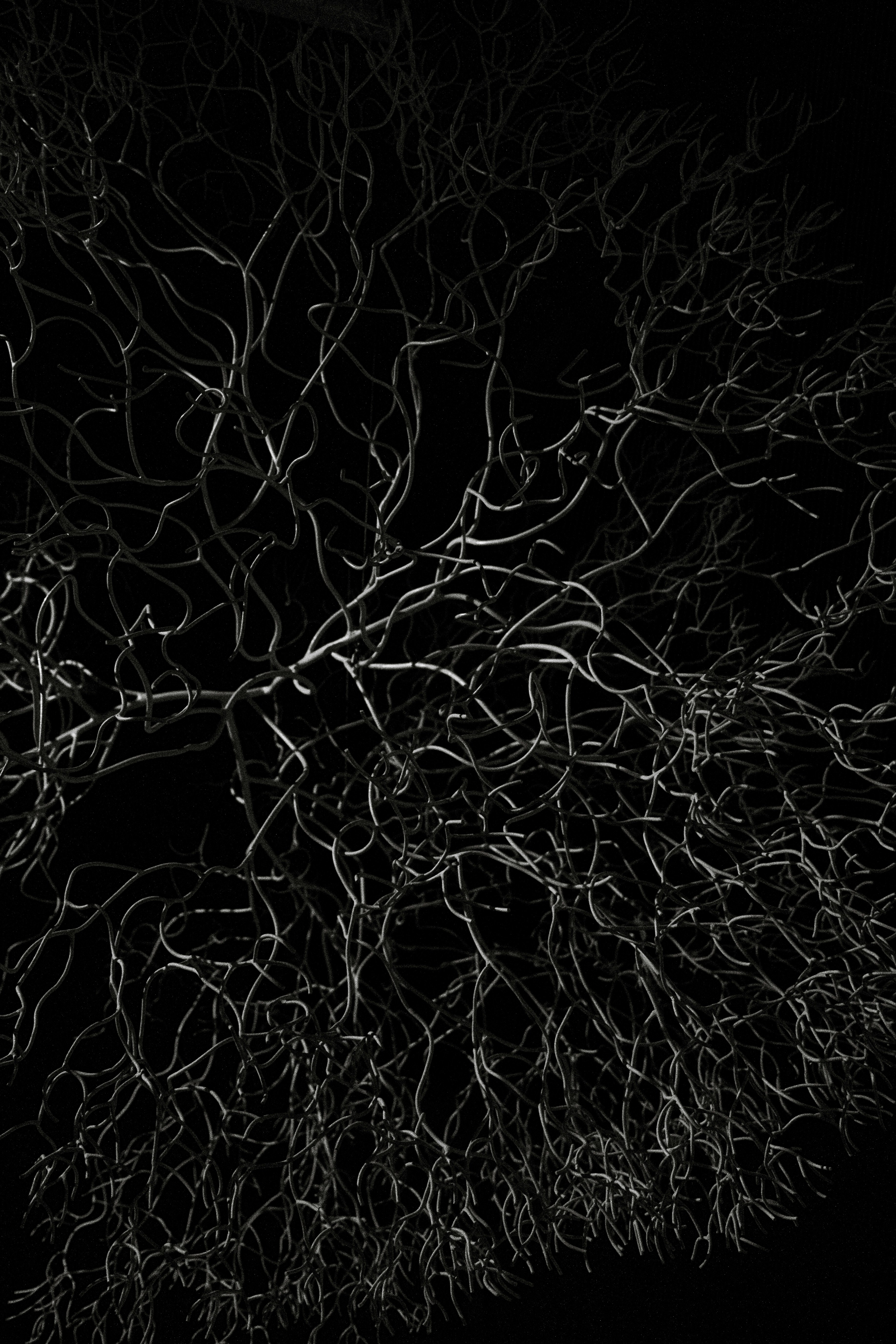 Photo by filipp_roman_photography