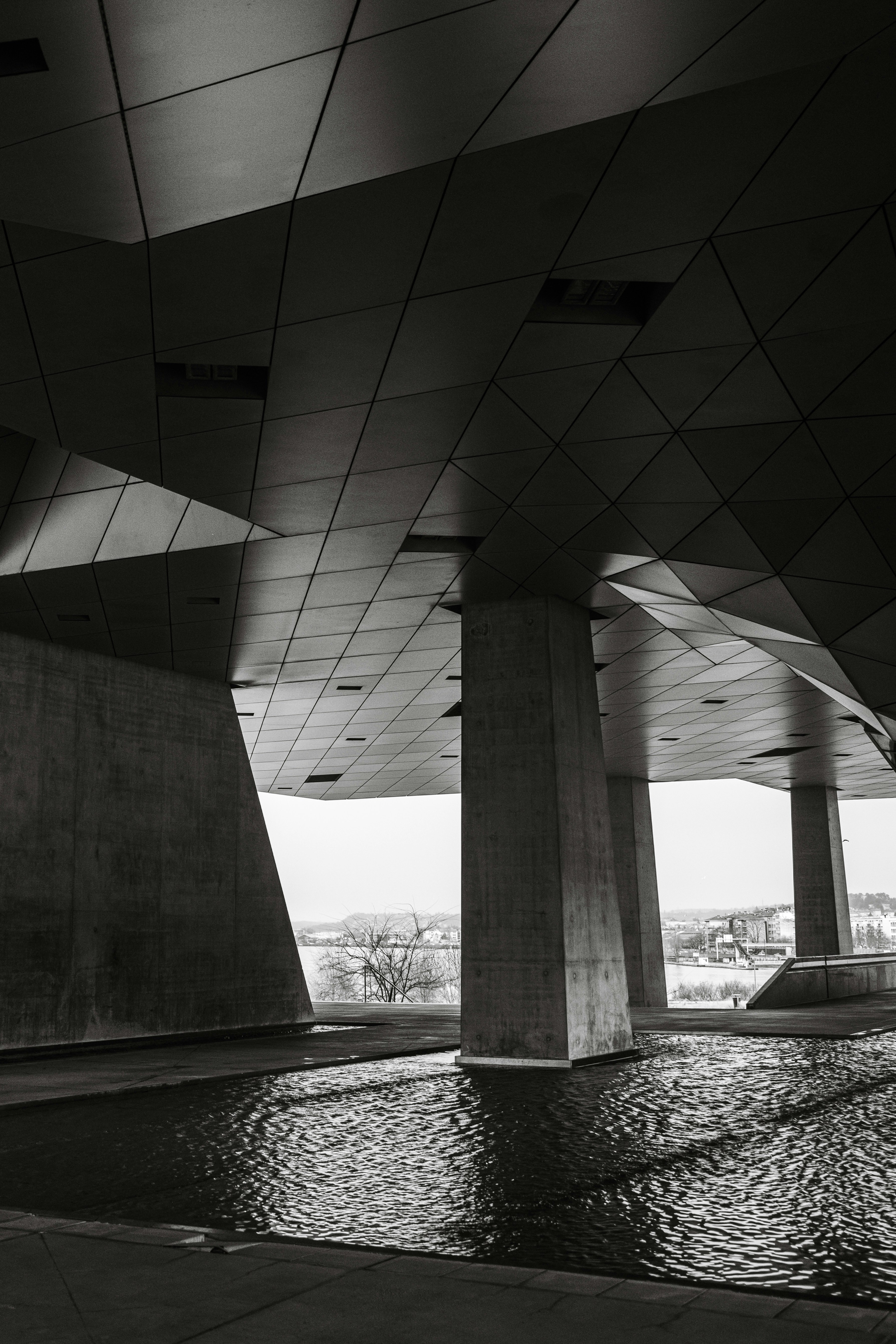 Photo by filipp_roman_photography