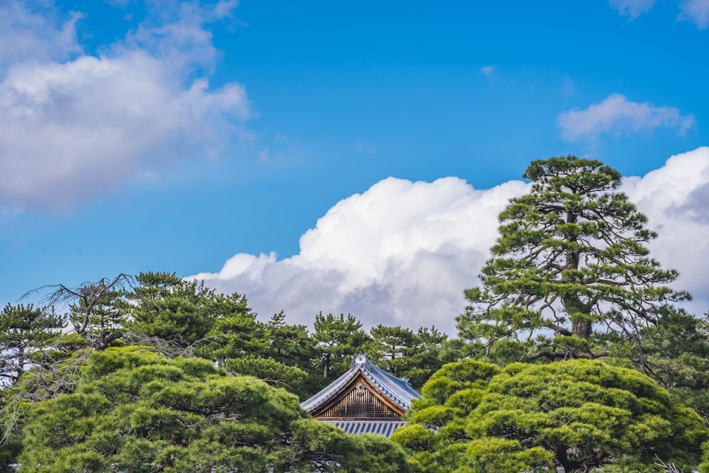 a building surrounded by trees under a cloudy blue sky