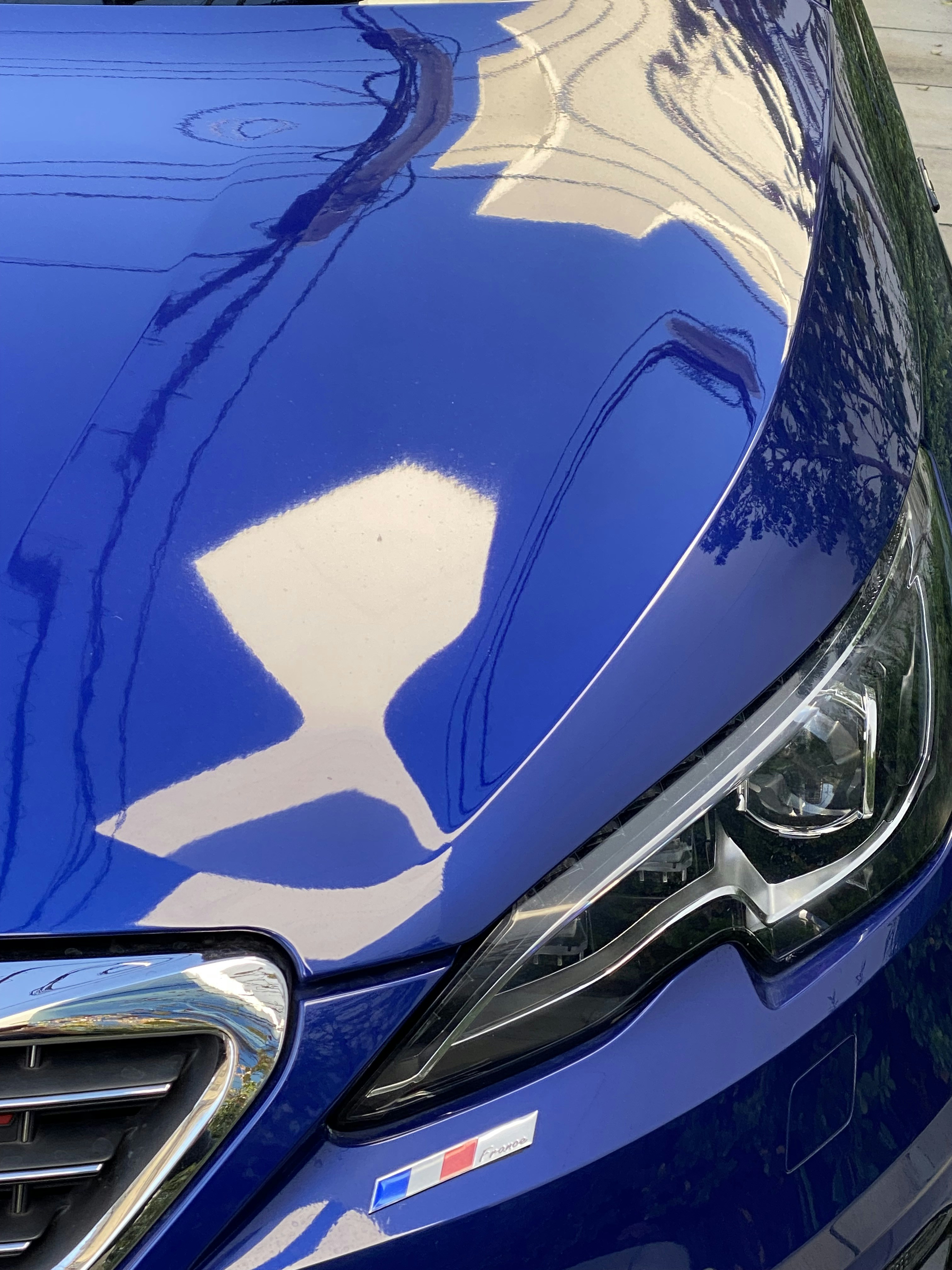 a close up of the hood of a blue car
